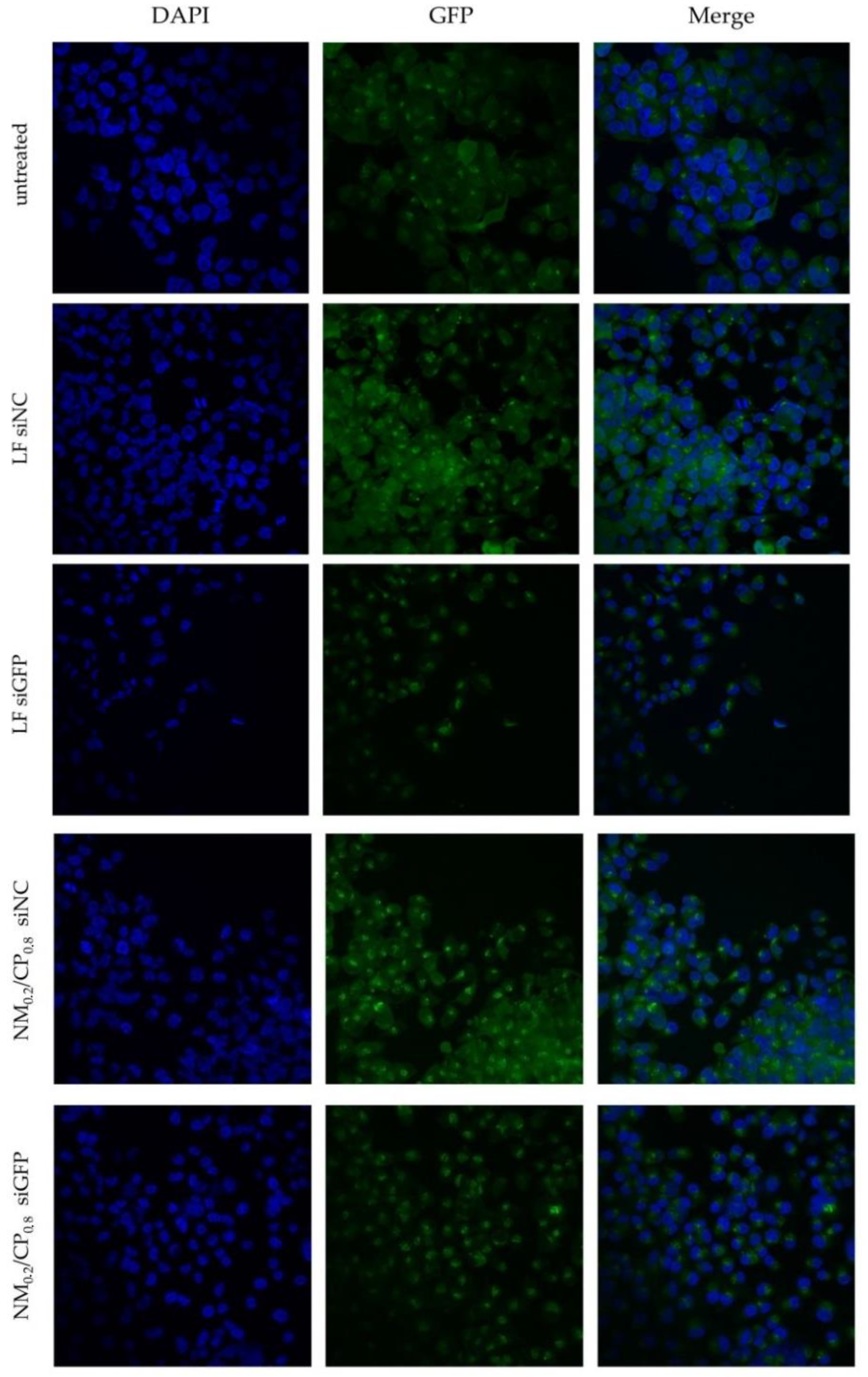 Nanomaterials 09 00986 g010 Nanomaterials 09 00986 g010