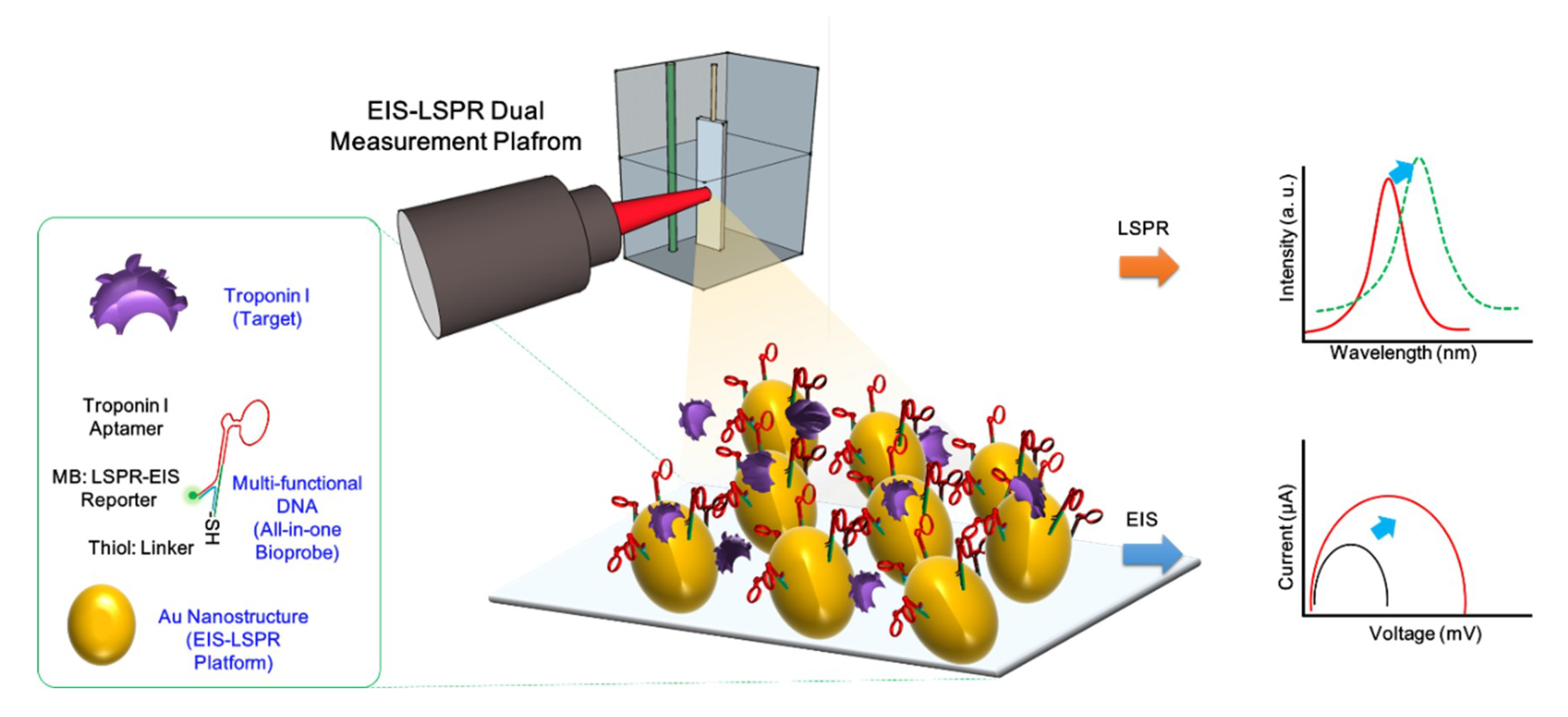 Nanomaterials 09 01000 g001 Nanomaterials 09 01000 g001
