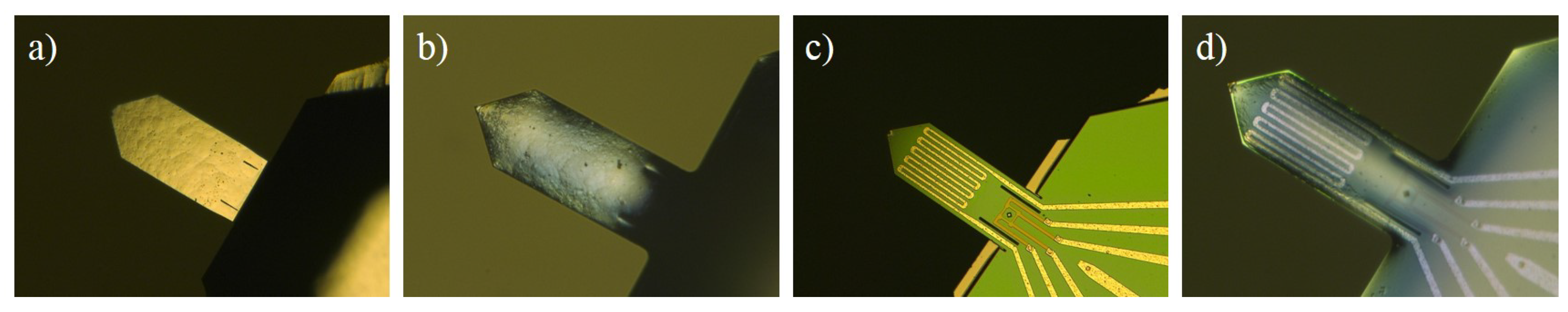 Nanomaterials 09 01013 g002