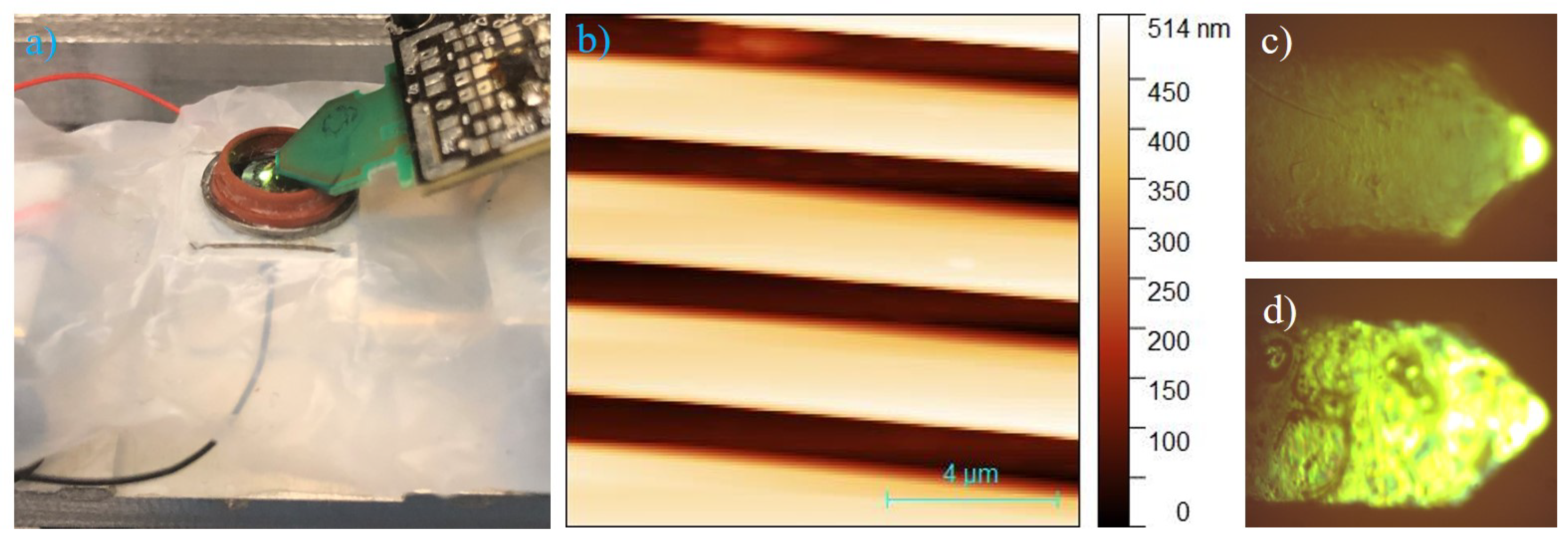 Nanomaterials 09 01013 g006