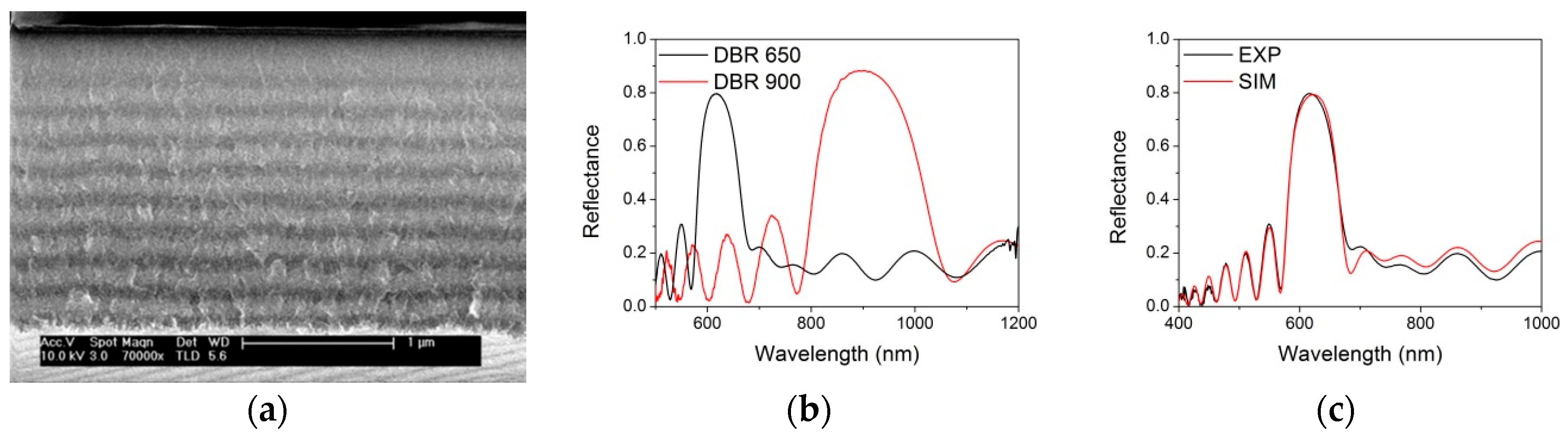 Nanomaterials 09 01017 g002