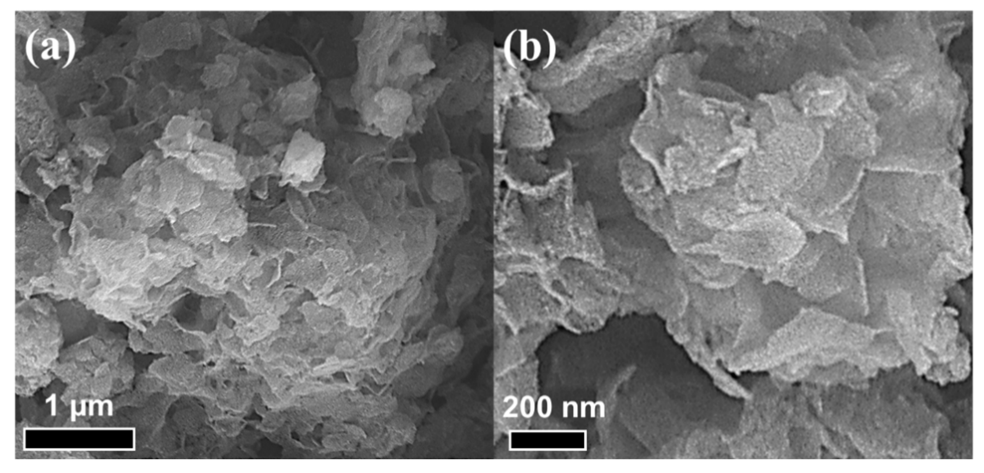 Nanomaterials 09 01022 g001 Nanomaterials 09 01022 g001