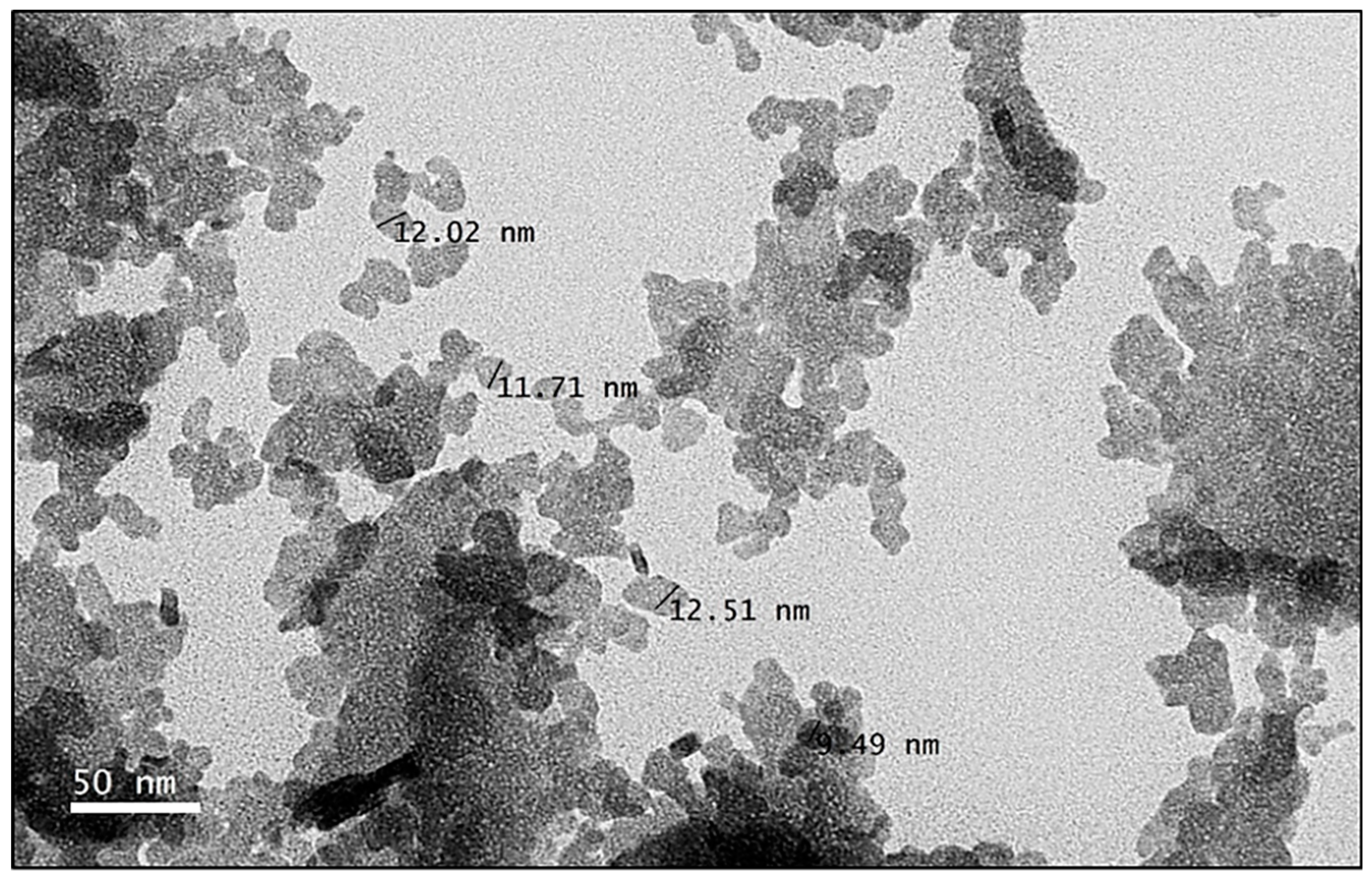 Nanomaterials 09 01028 g004