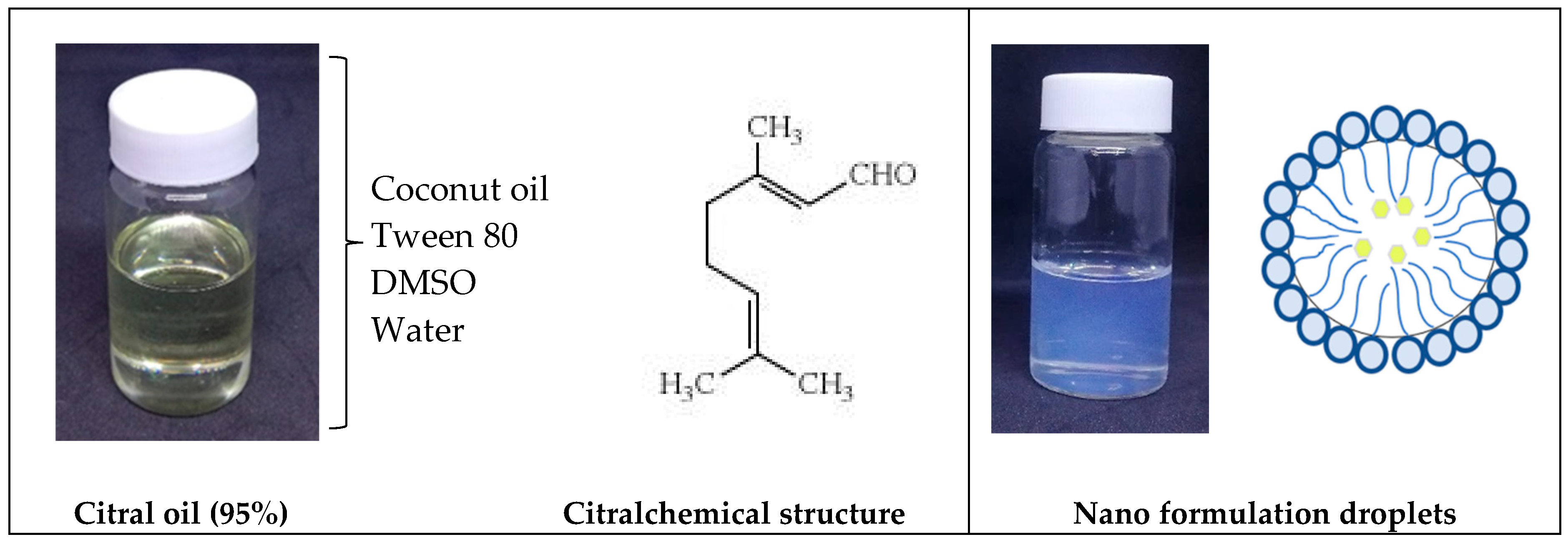Nanomaterials 09 01028 g006