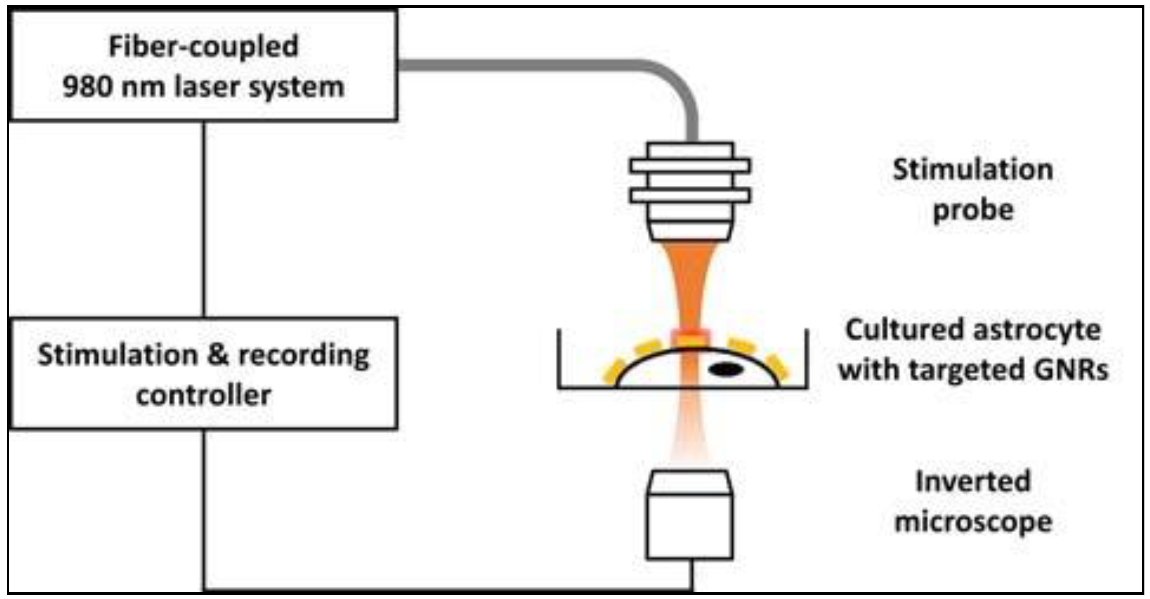 Nanomaterials 09 01029 g003