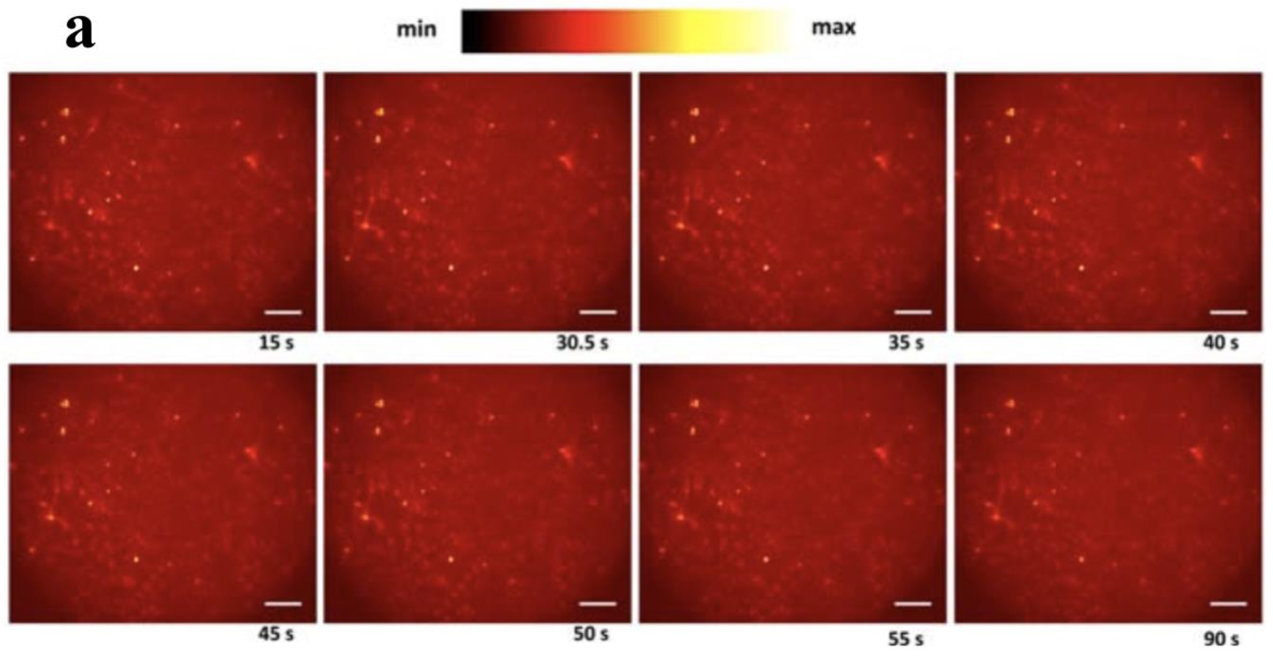 Nanomaterials 09 01029 g004a