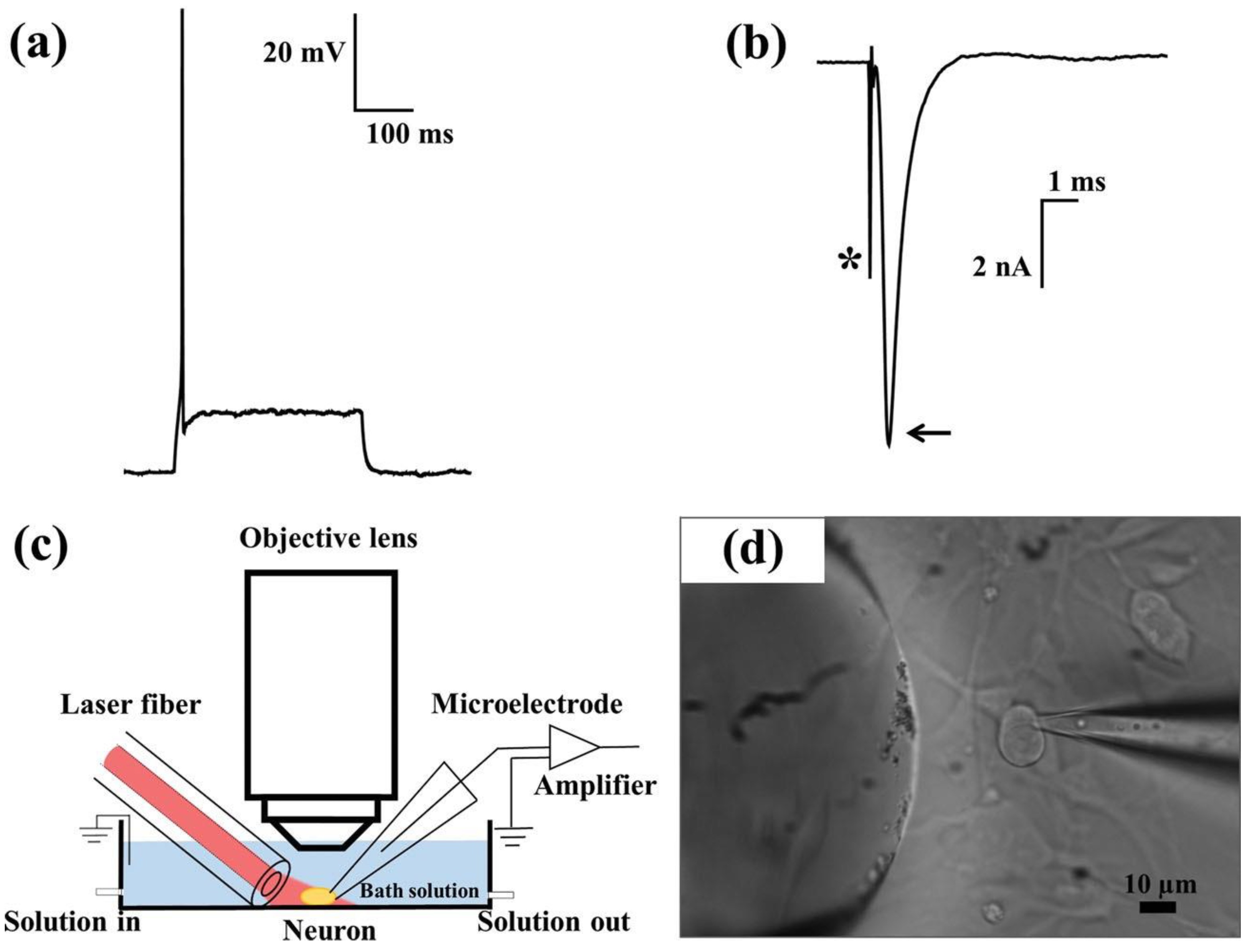 Nanomaterials 09 01029 g005