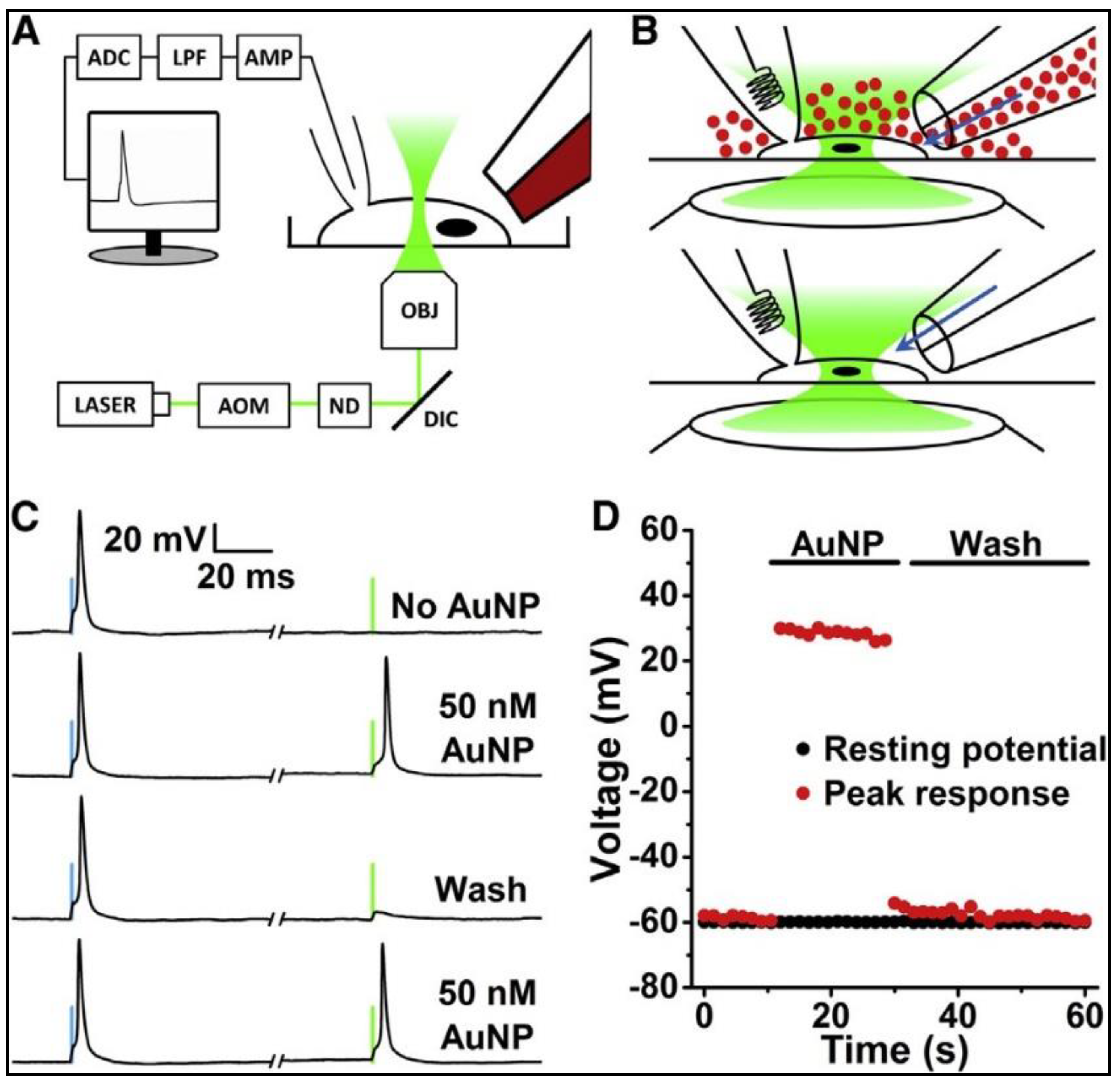 Nanomaterials 09 01029 g007