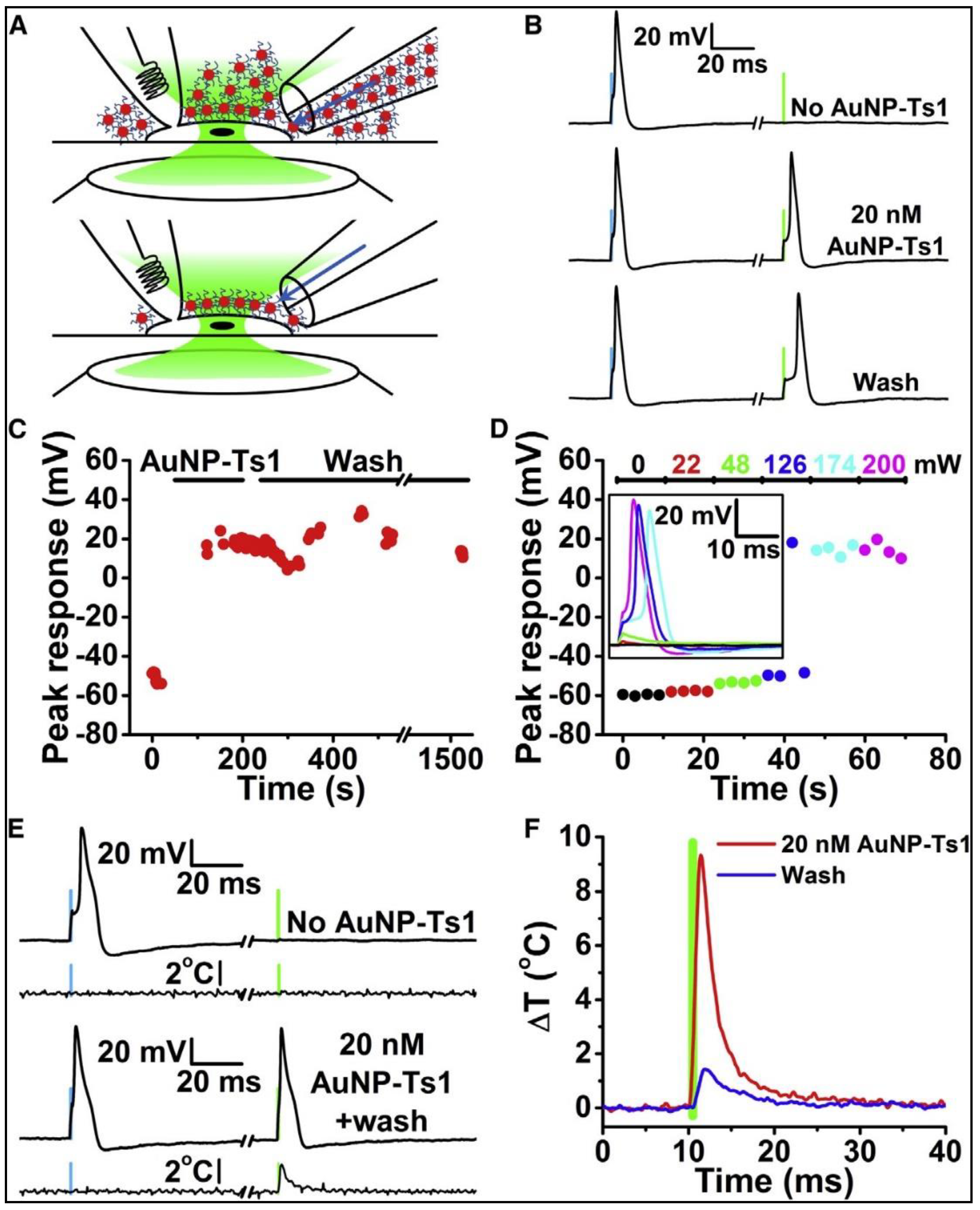 Nanomaterials 09 01029 g008