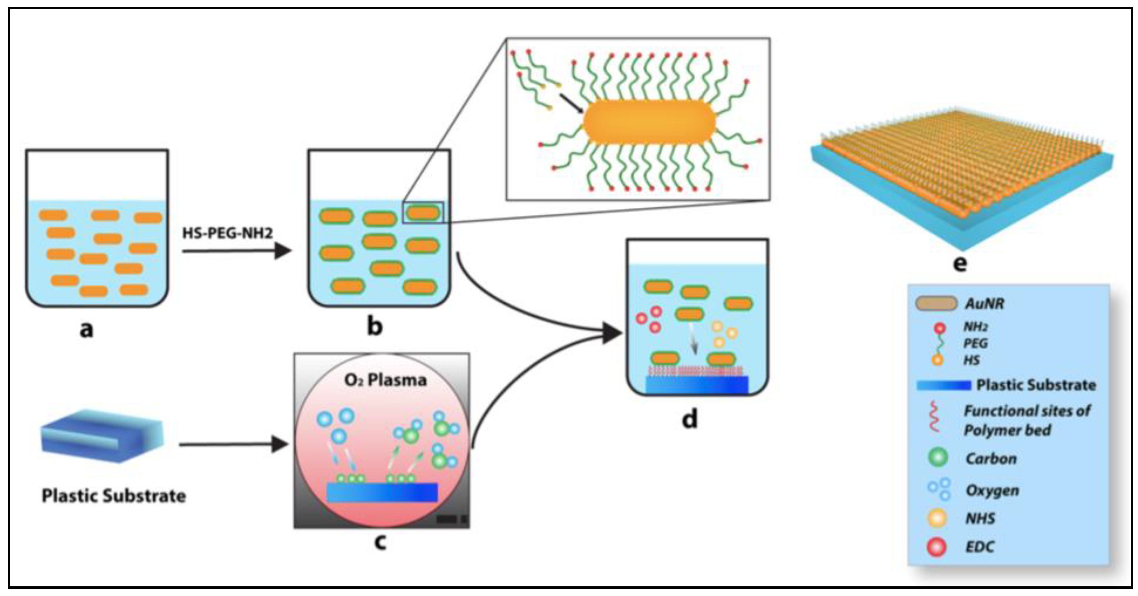 Nanomaterials 09 01029 g009