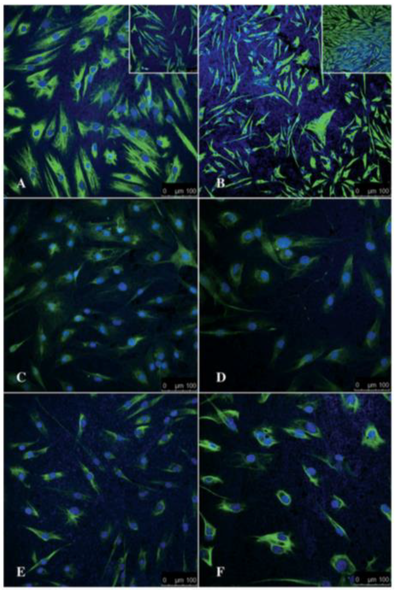 Nanomaterials 09 01029 g010