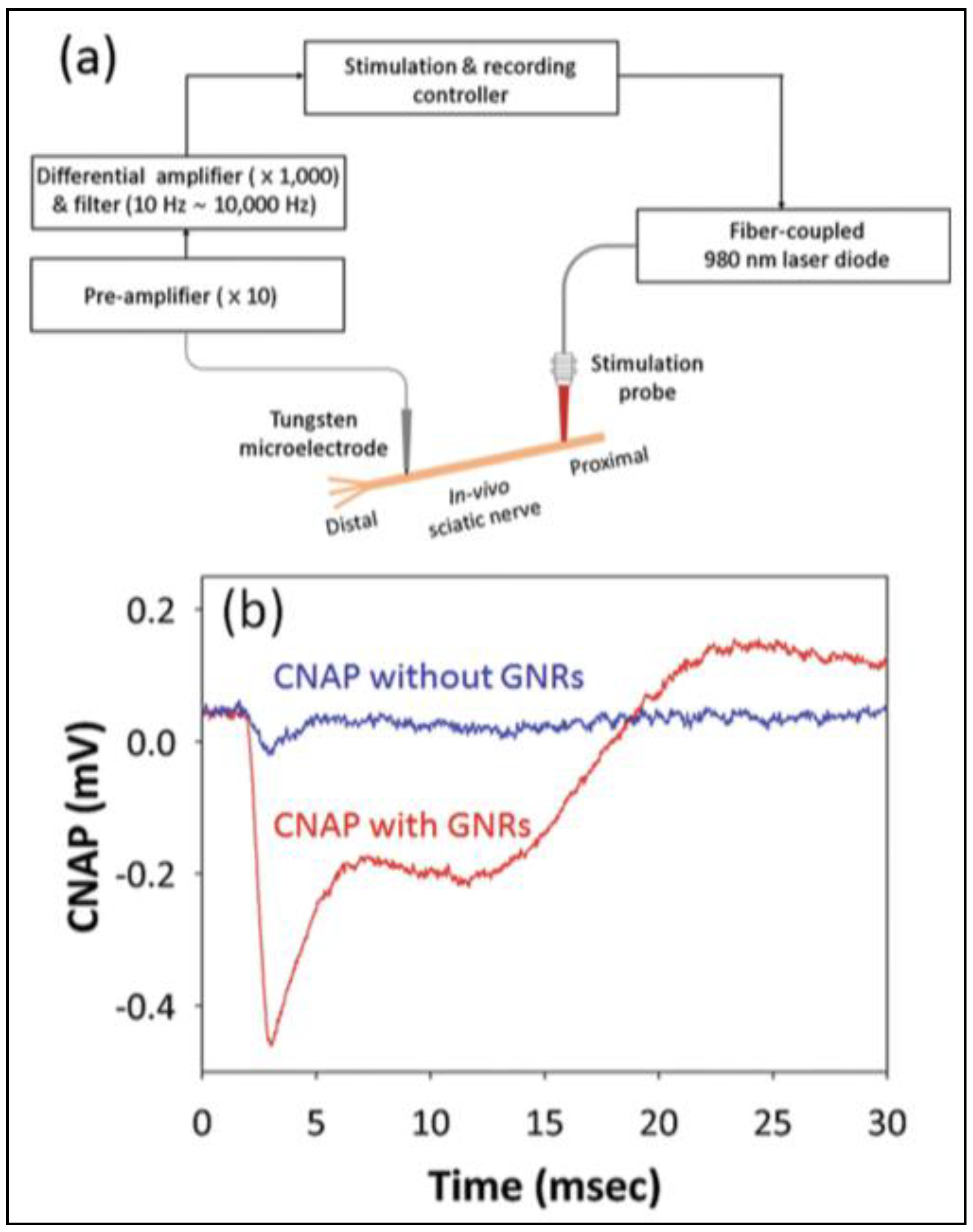 Nanomaterials 09 01029 g011