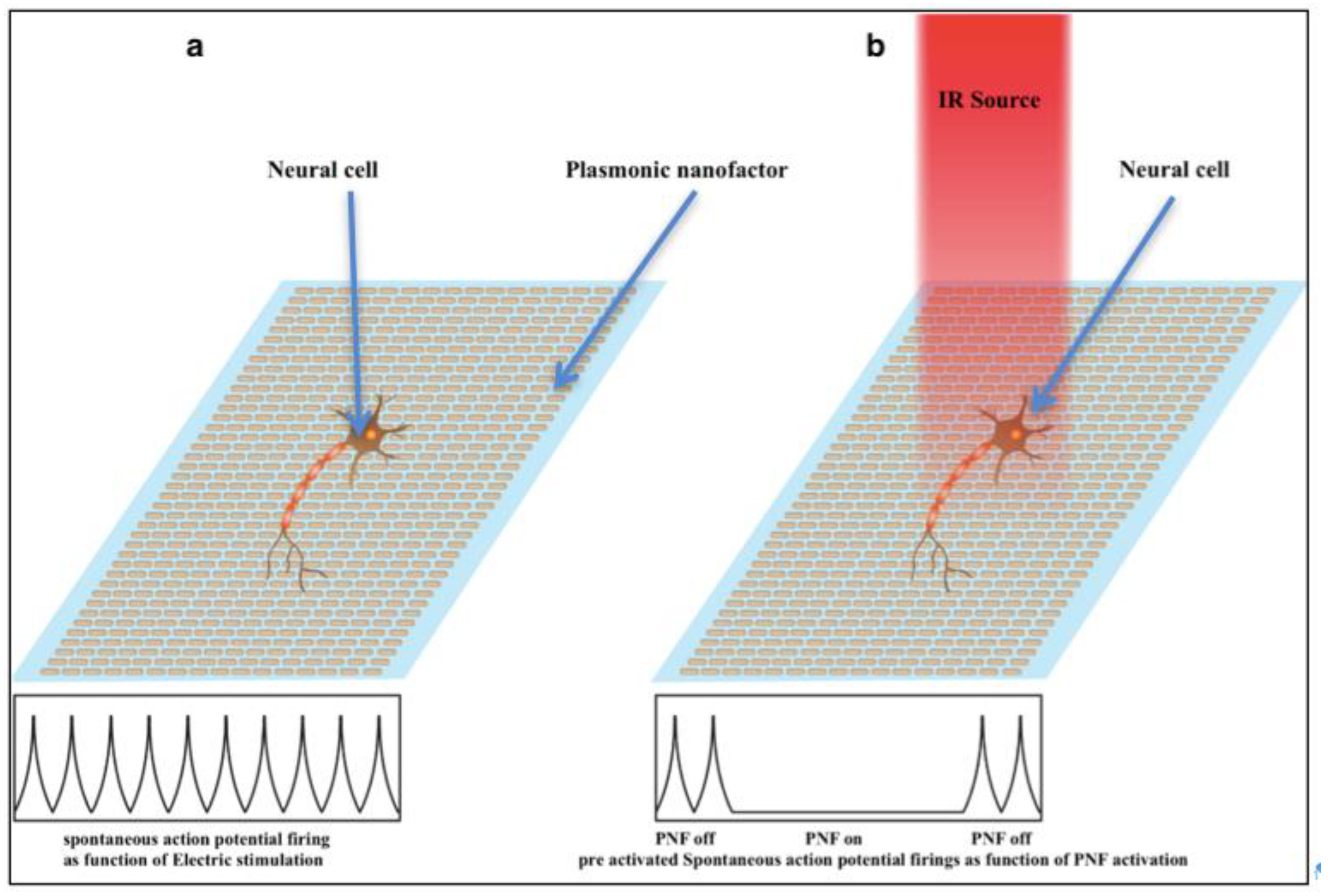 Nanomaterials 09 01029 g012