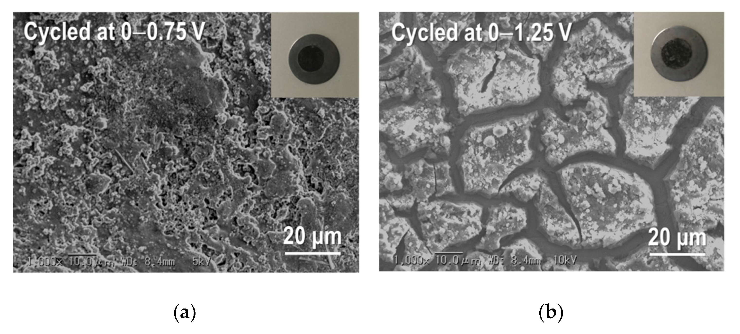 Nanomaterials 09 01032 g013 Nanomaterials 09 01032 g013
