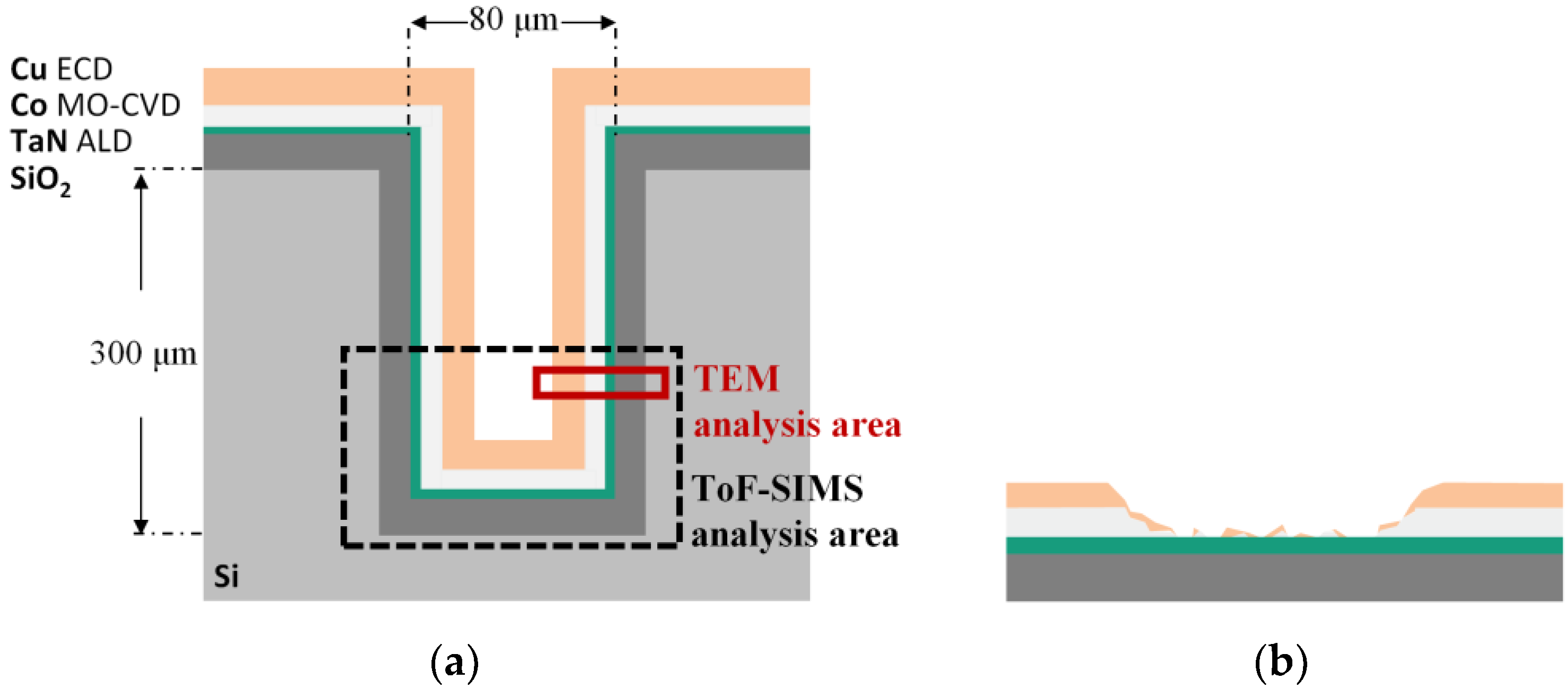 Nanomaterials 09 01035 g001