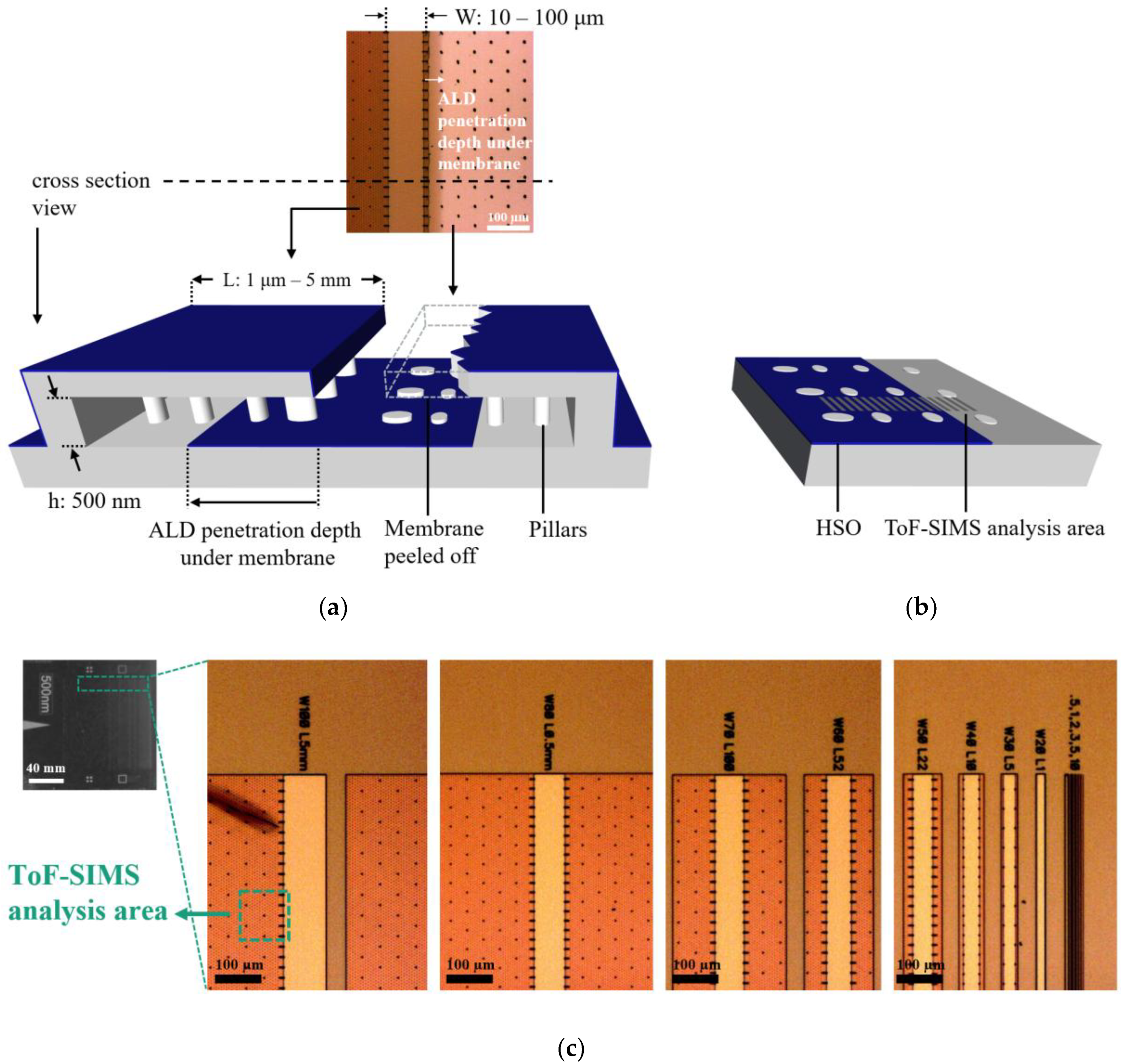 Nanomaterials 09 01035 g002