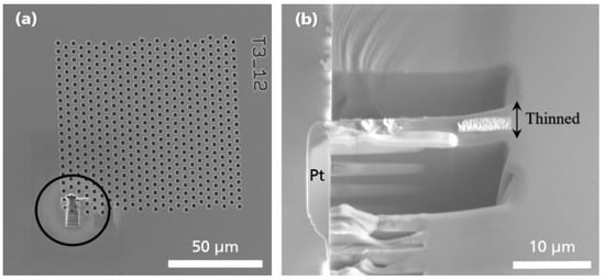 Nanomaterials 09 01035 g0a1