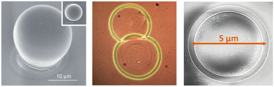 Nanomaterials 09 01036 g007