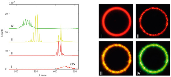 Nanomaterials 09 01036 g008