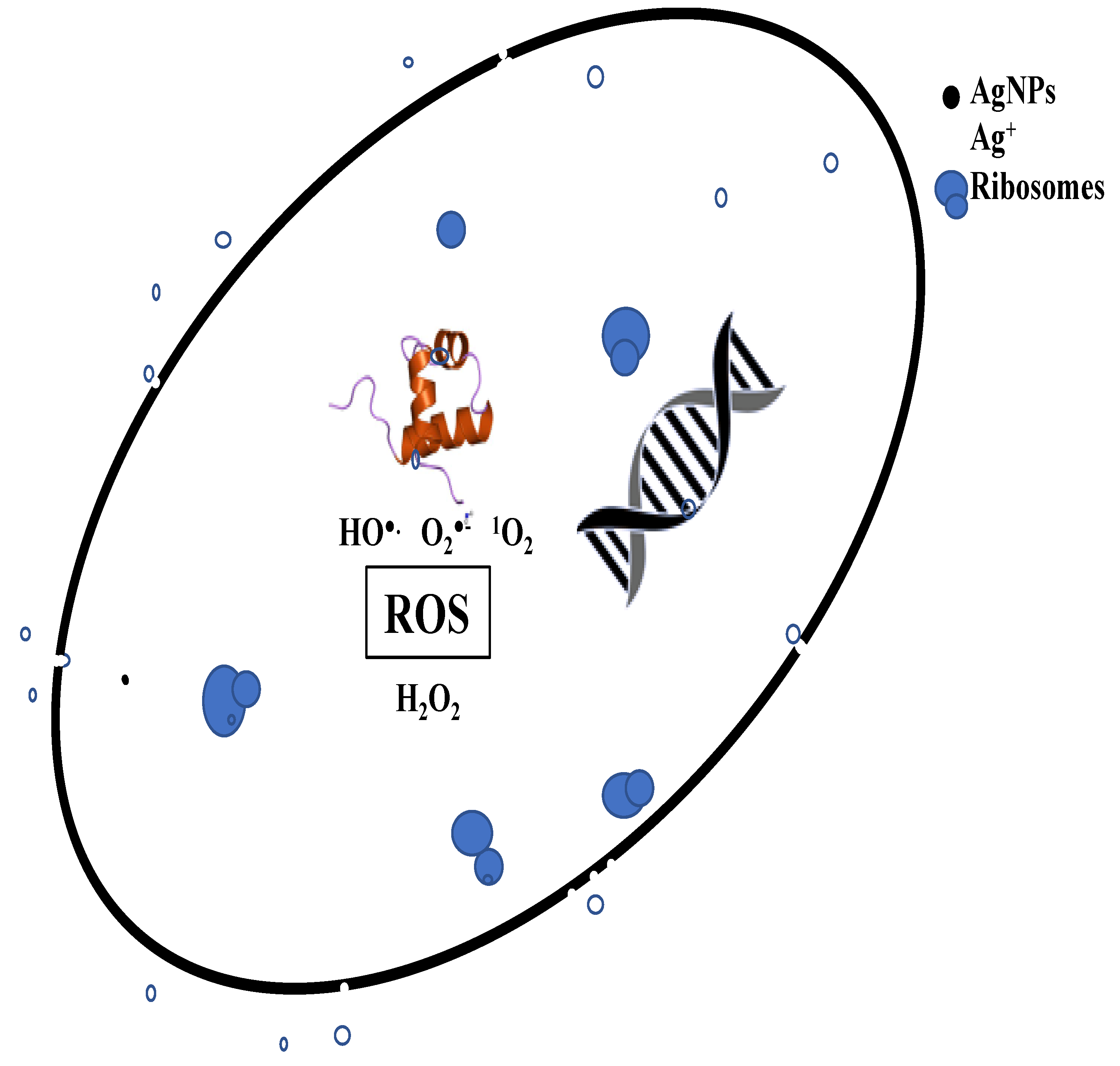 Nanomaterials 09 01042 g009