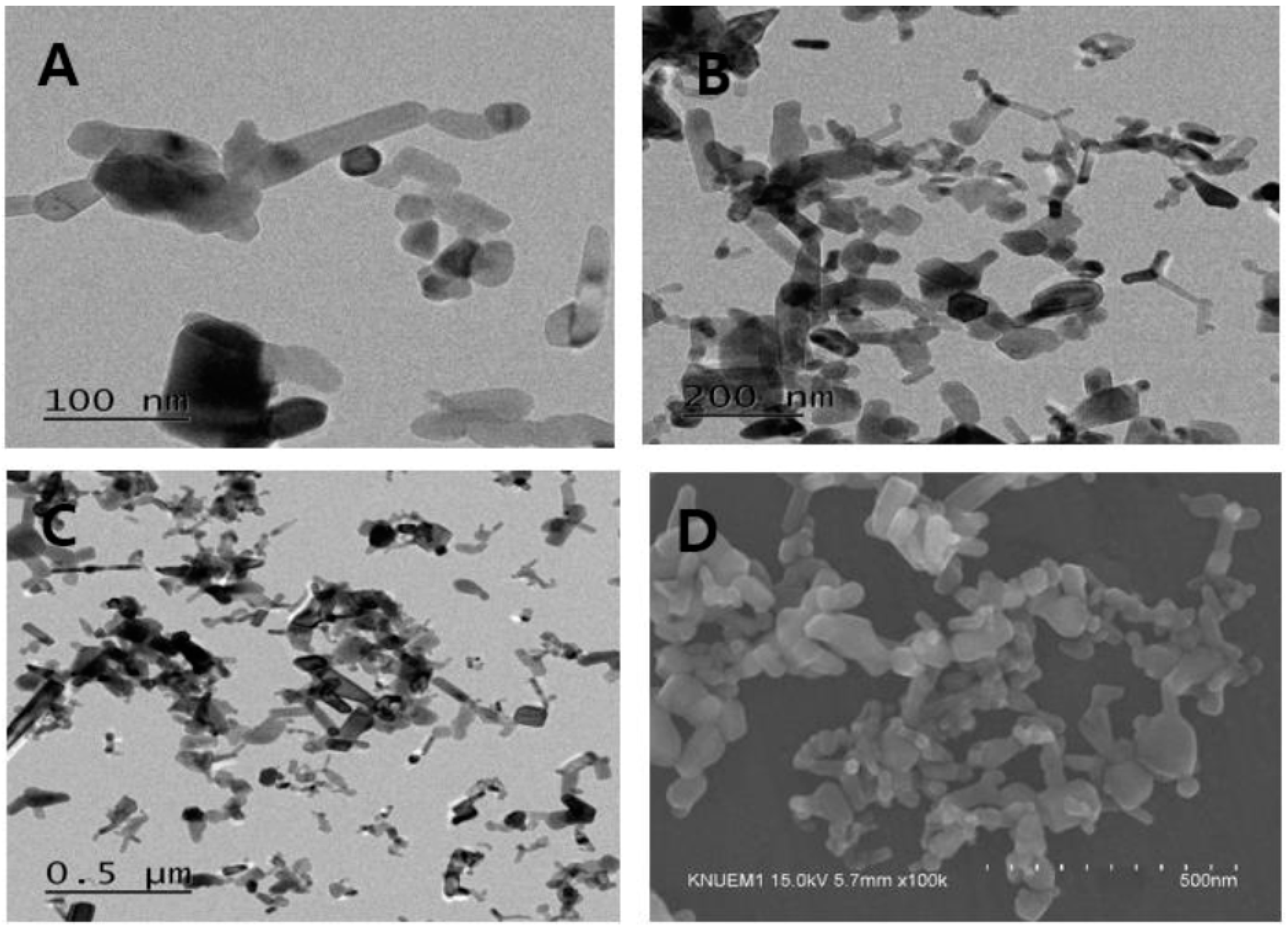 Nanomaterials 09 01043 g001 Nanomaterials 09 01043 g001