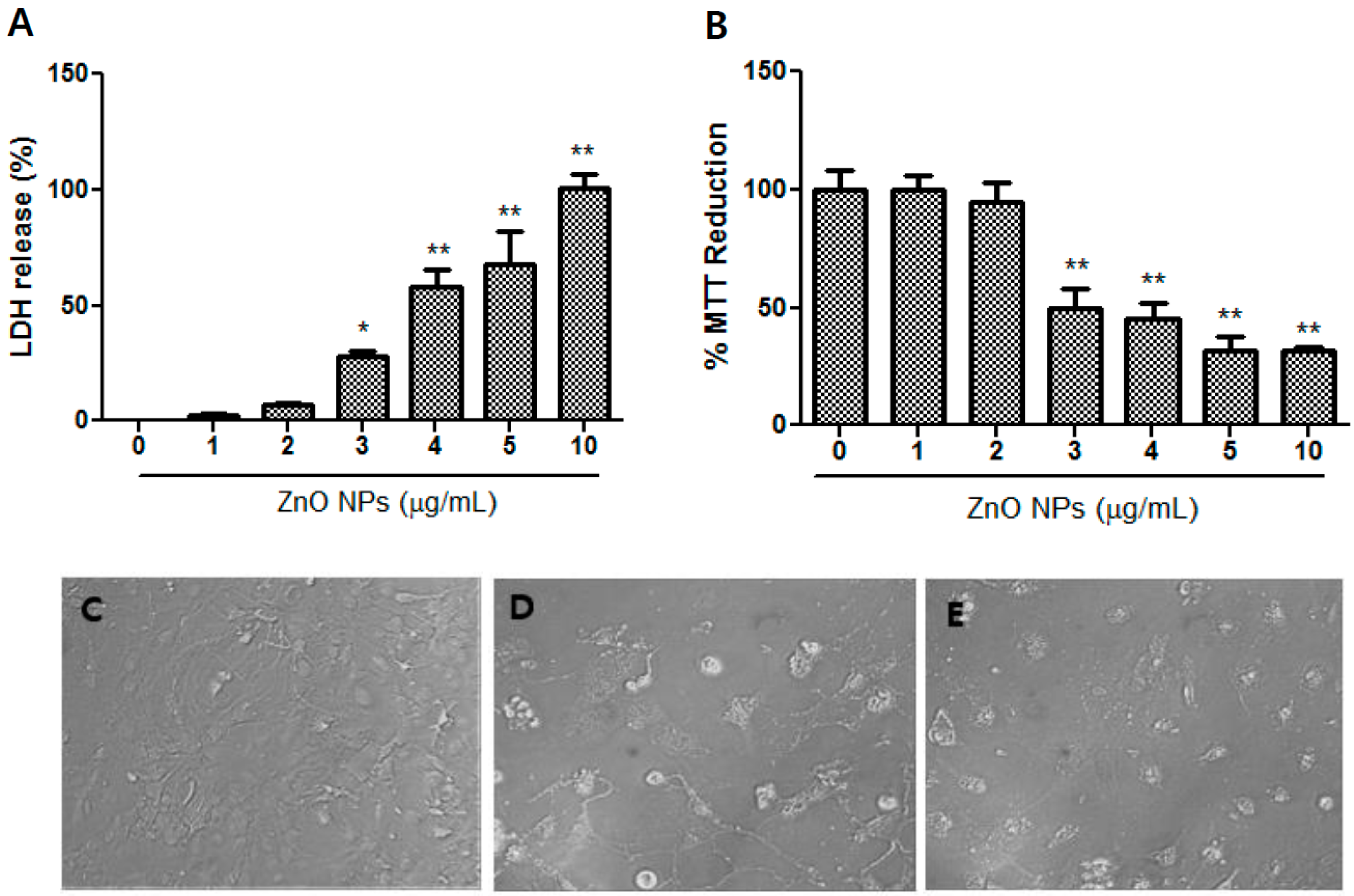 Nanomaterials 09 01043 g002 Nanomaterials 09 01043 g002