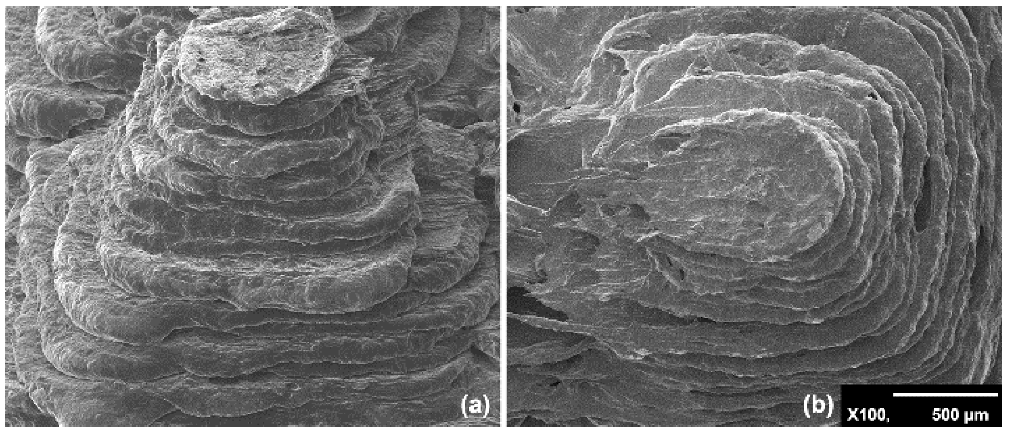 Nanomaterials 09 01056 g001