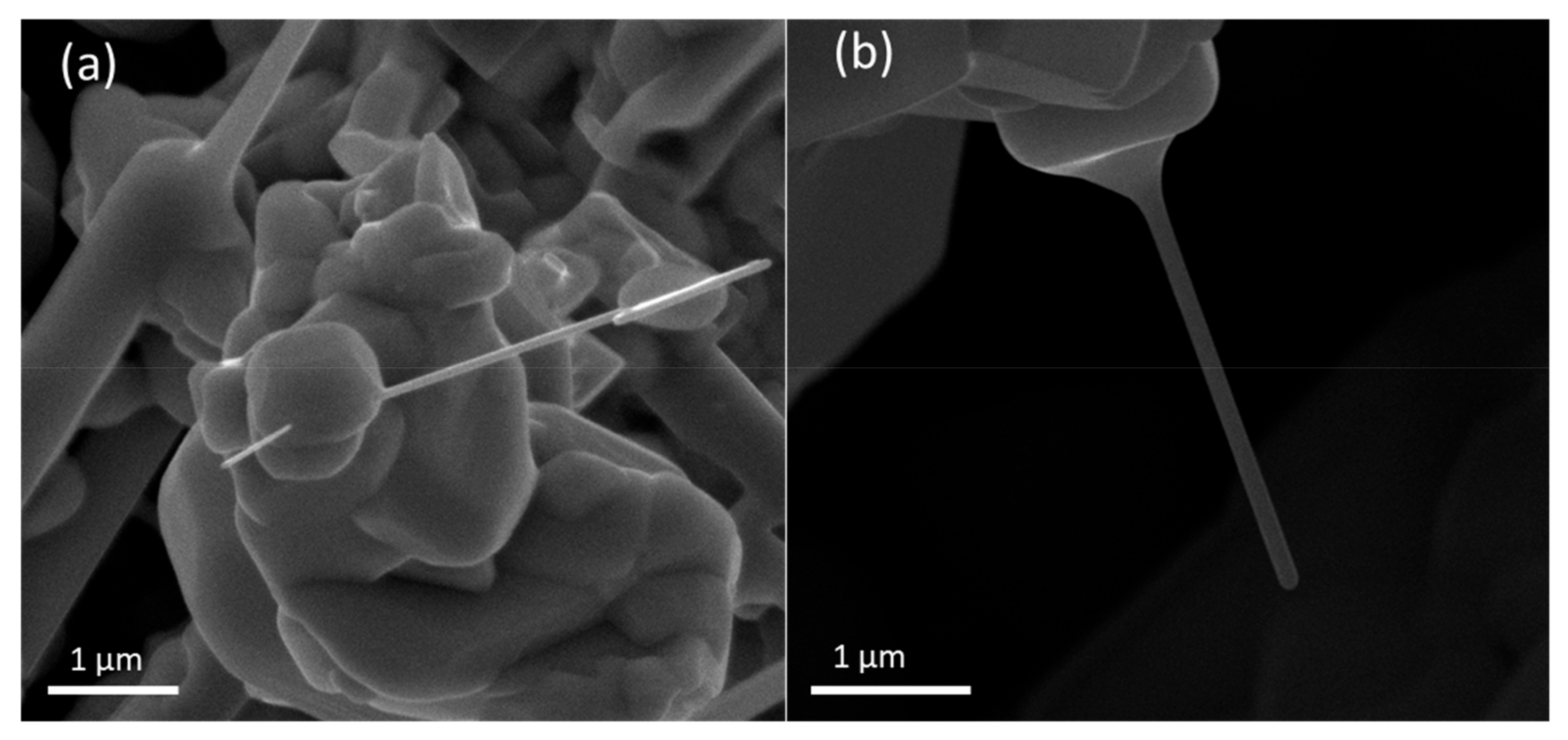 Nanomaterials 09 01062 g005 Nanomaterials 09 01062 g005