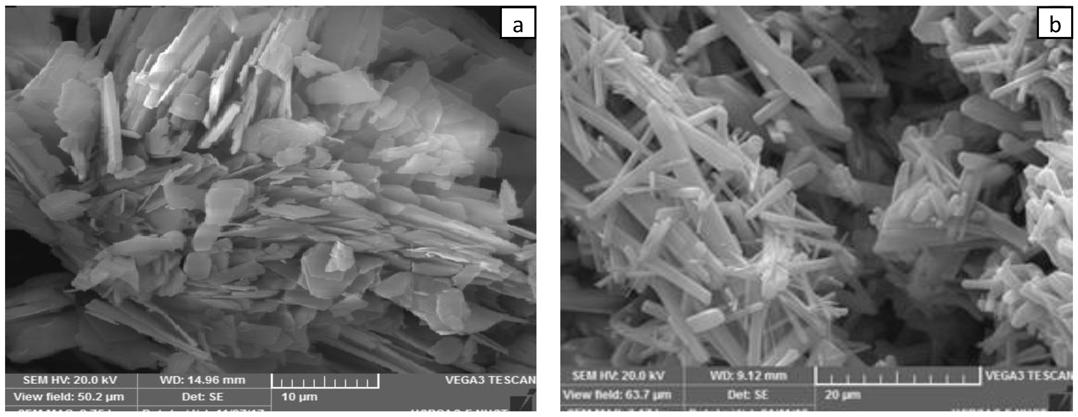 Nanomaterials 09 01063 g005