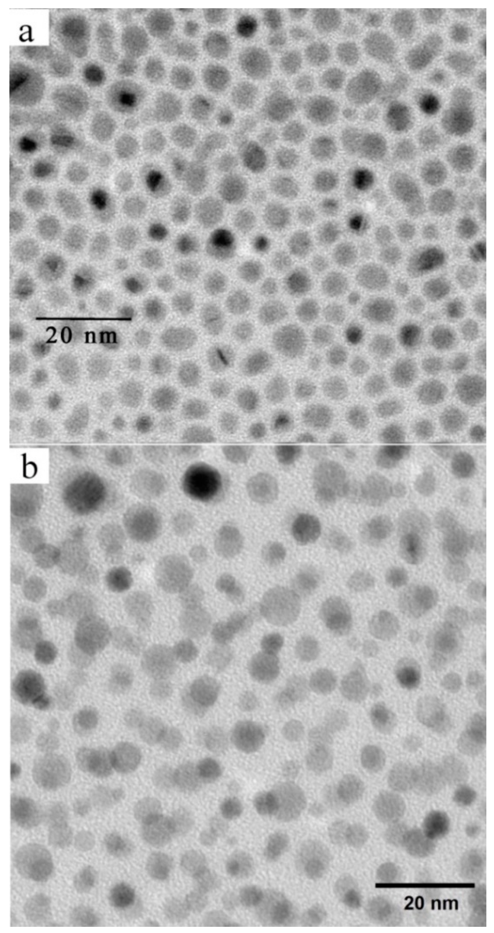 Nanomaterials 09 01066 g002