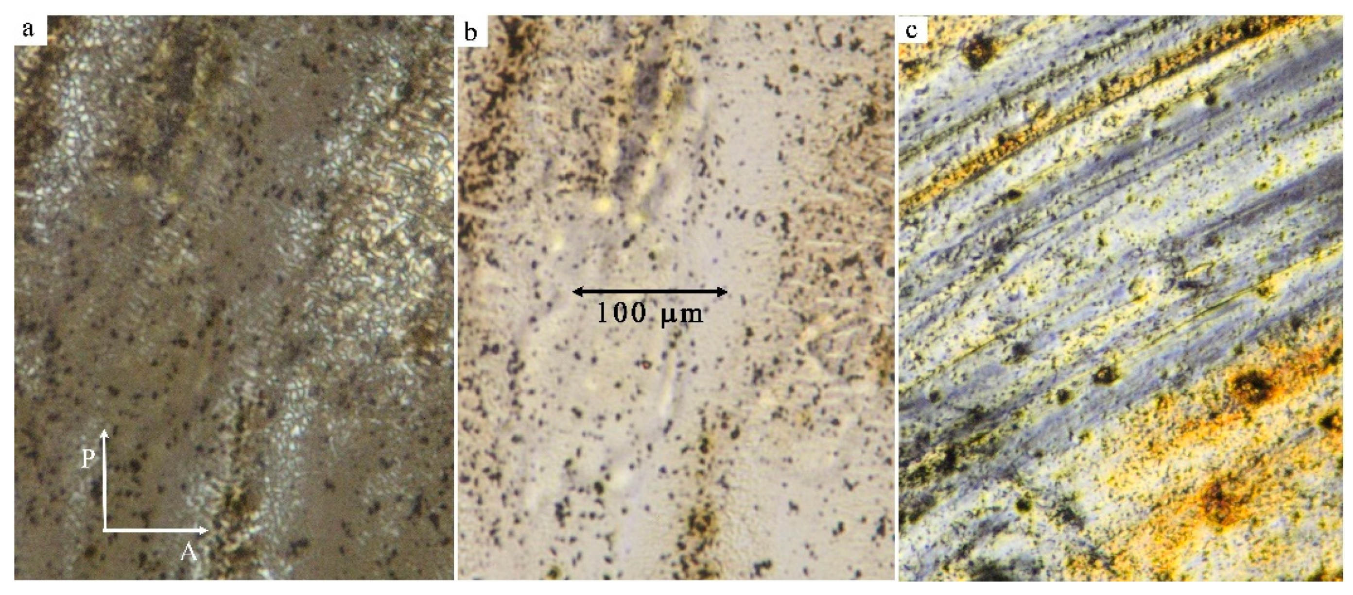 Nanomaterials 09 01066 g007