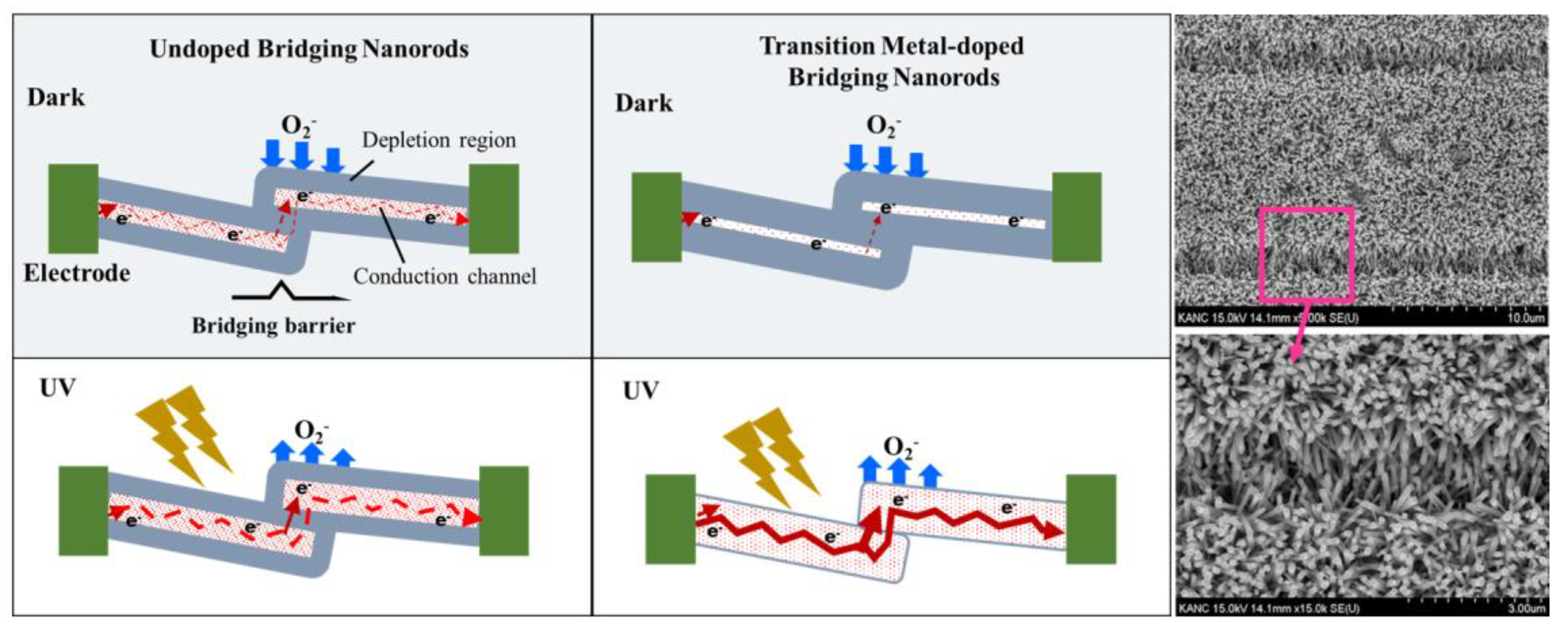 Nanomaterials 09 01067 g007 Nanomaterials 09 01067 g007