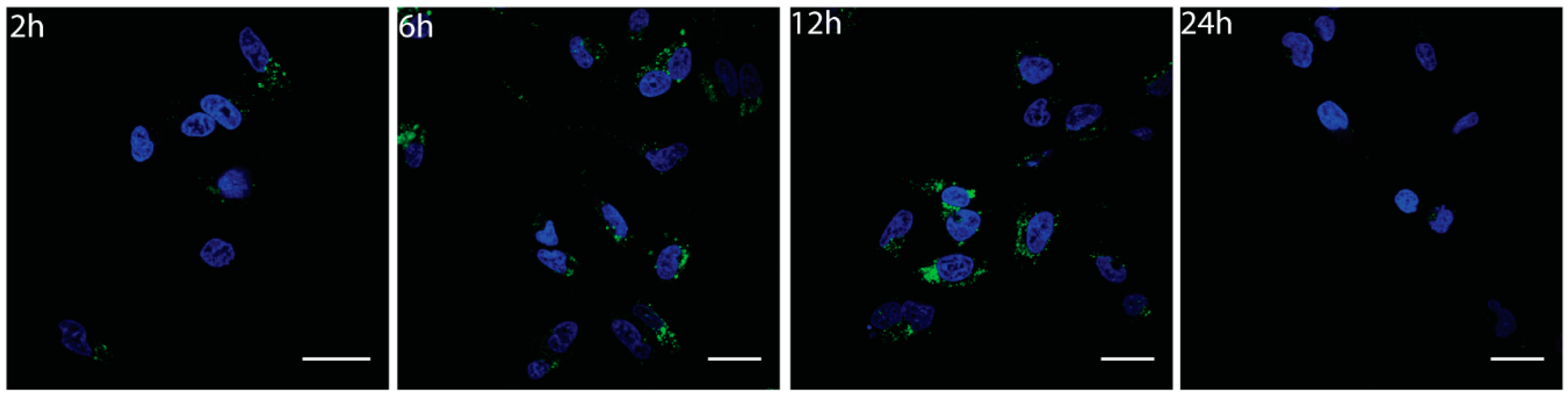 Nanomaterials 09 01069 g005
