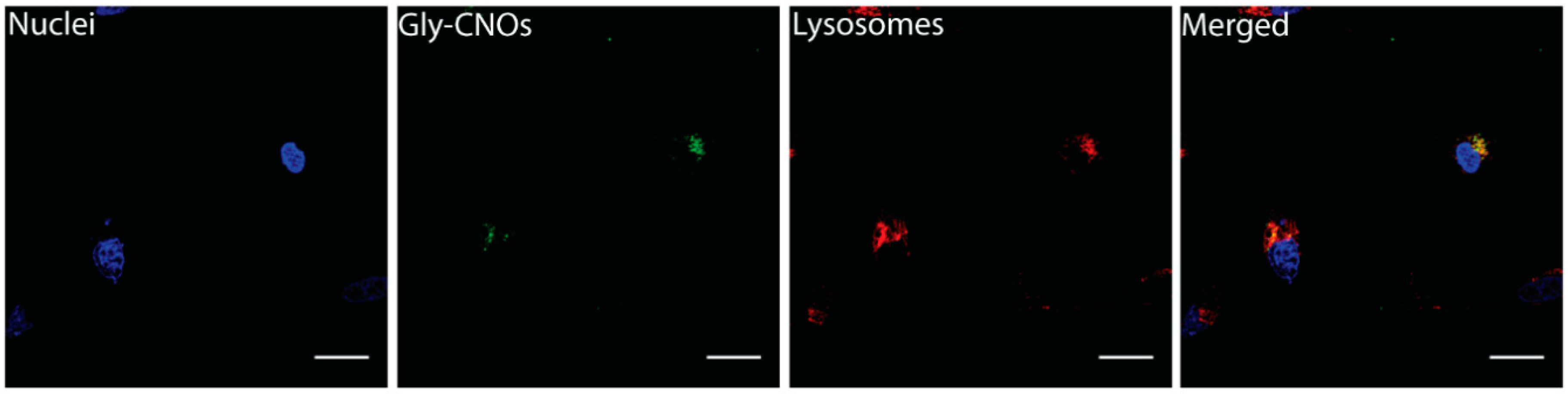 Nanomaterials 09 01069 g006