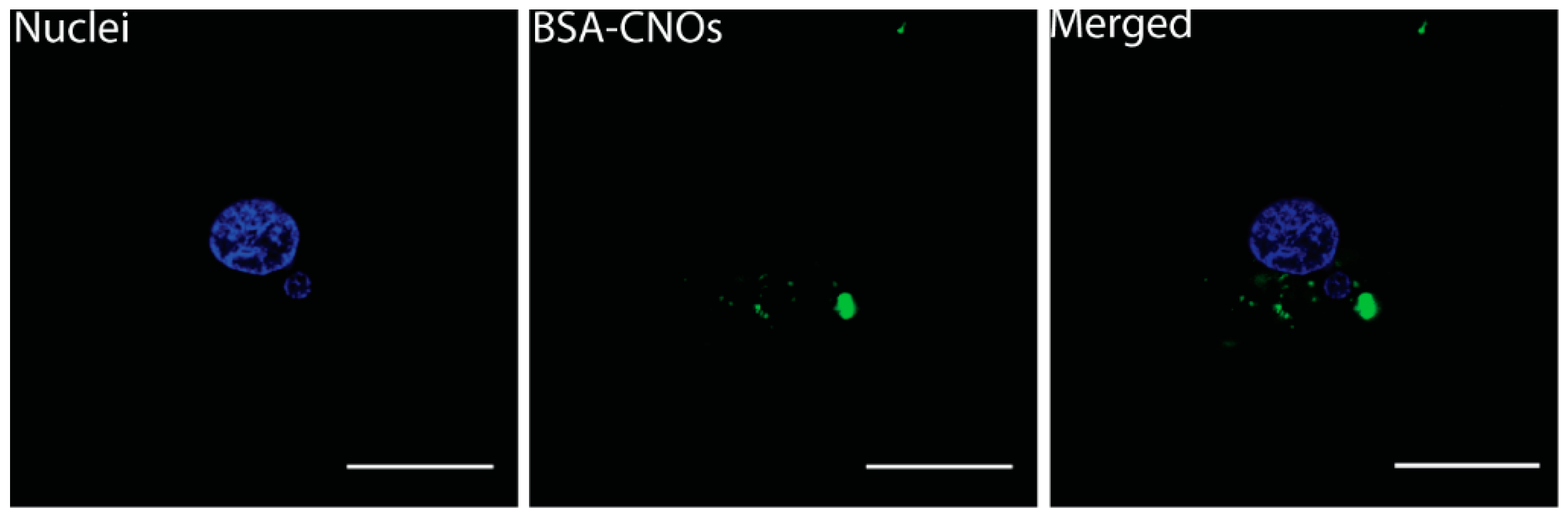 Nanomaterials 09 01069 g008