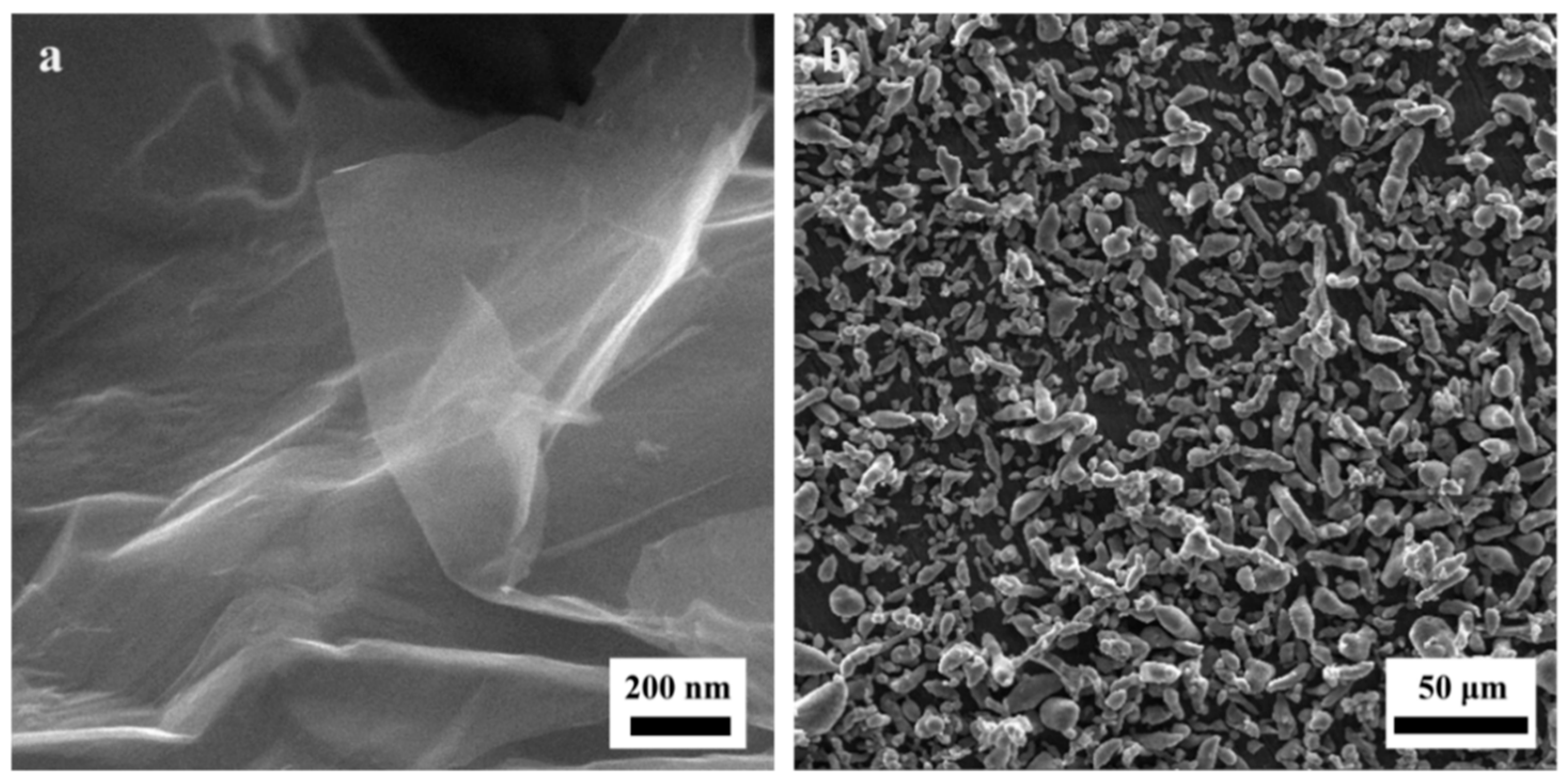 Nanomaterials 09 01070 g001