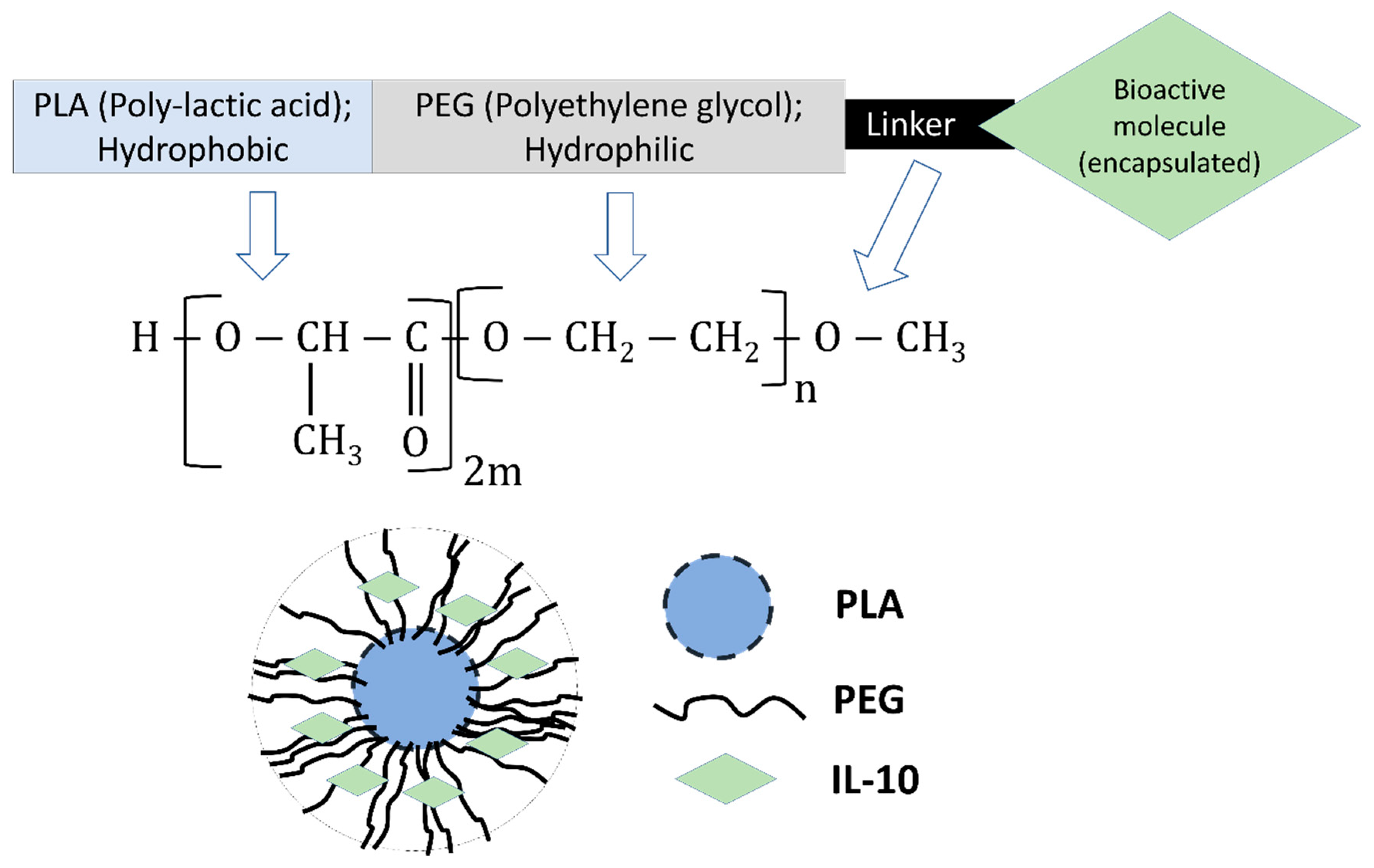 Nanomaterials 09 01074 g001