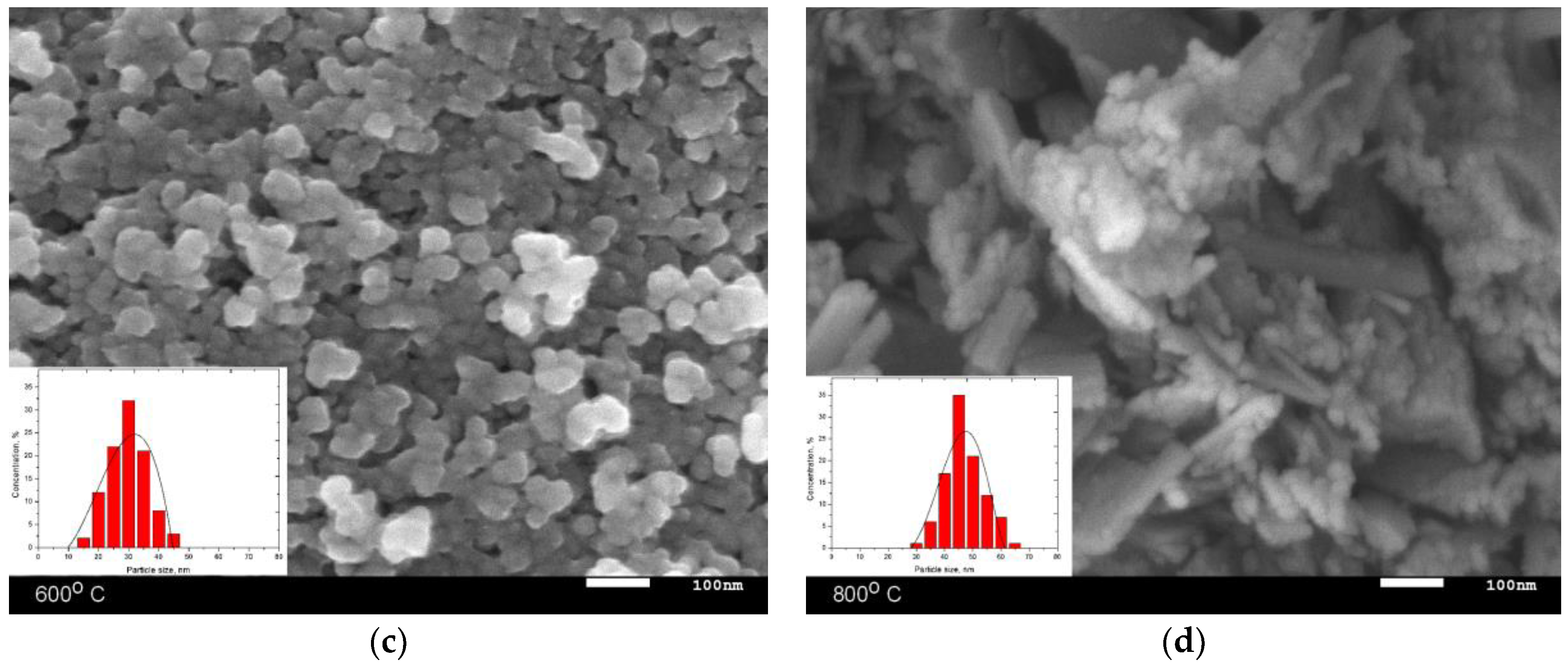 Nanomaterials 09 01079 g001b