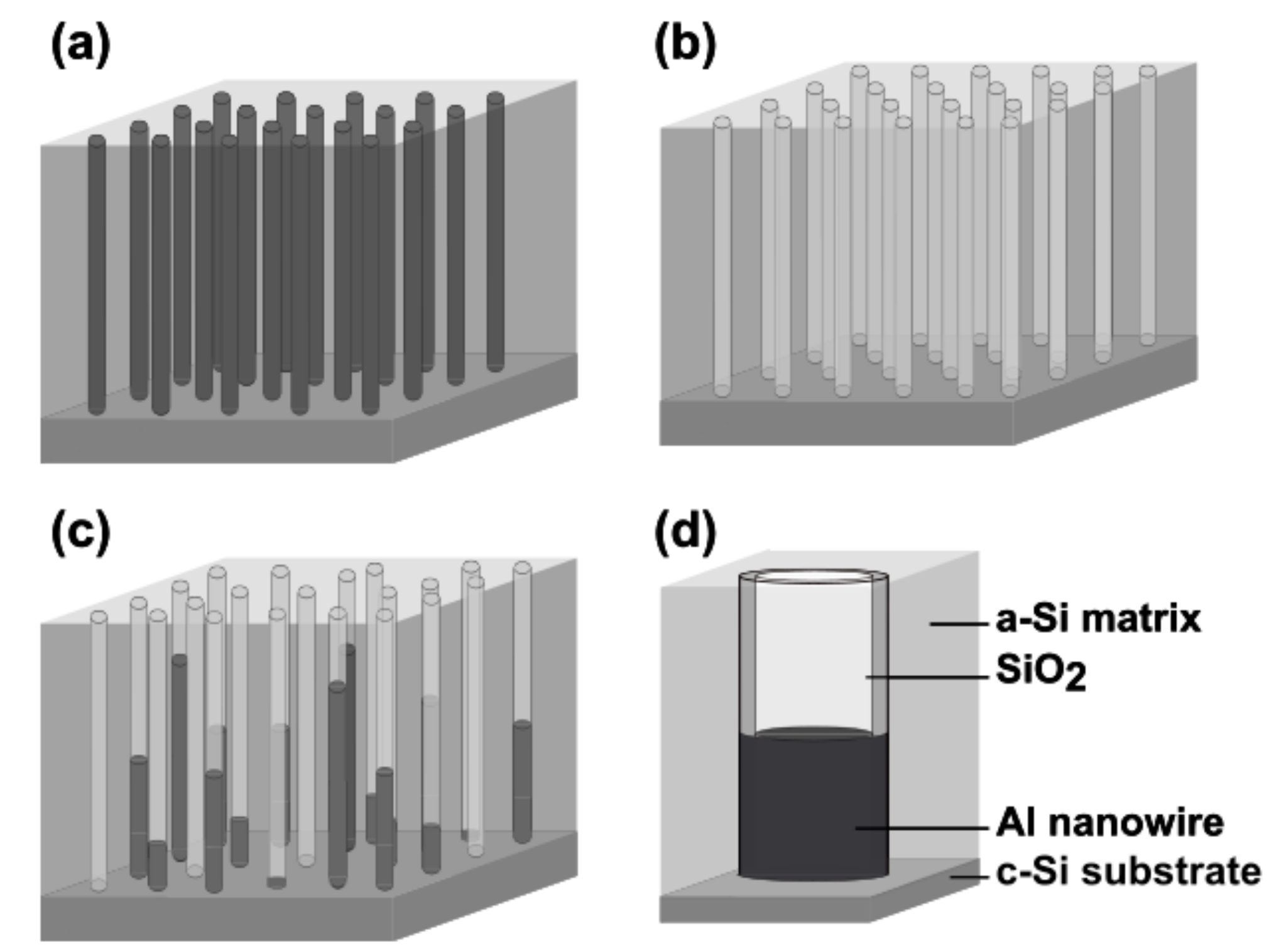 Nanomaterials 09 01106 g001