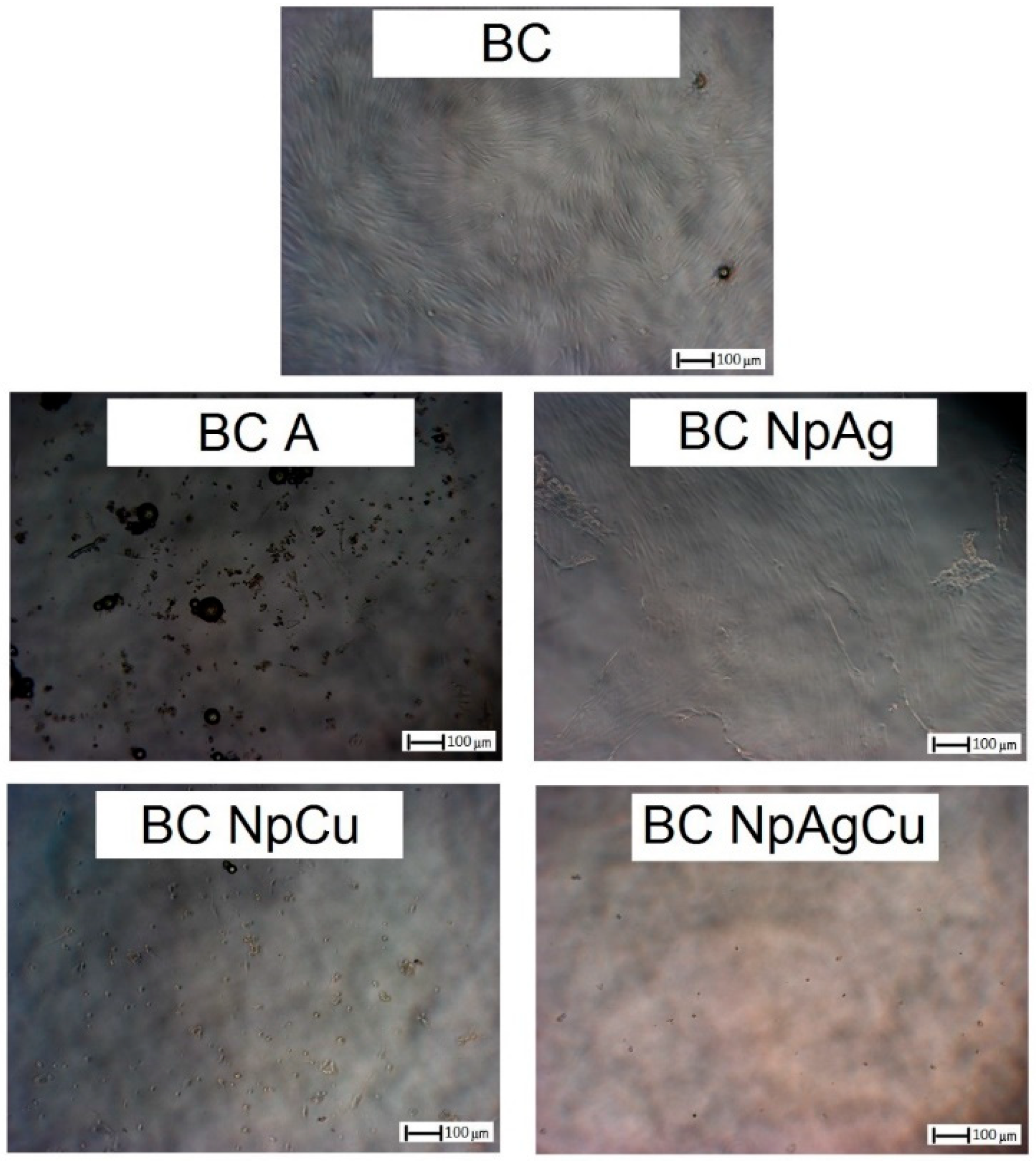 Nanomaterials 09 01114 g006 Nanomaterials 09 01114 g006