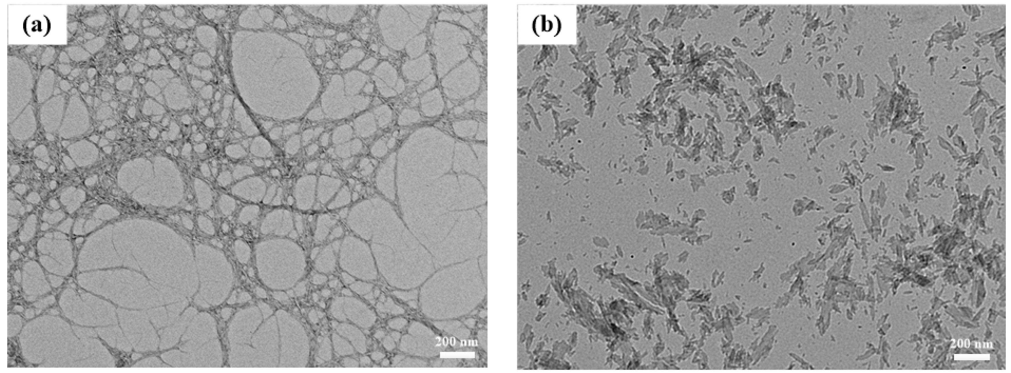 Nanomaterials 09 01121 g001