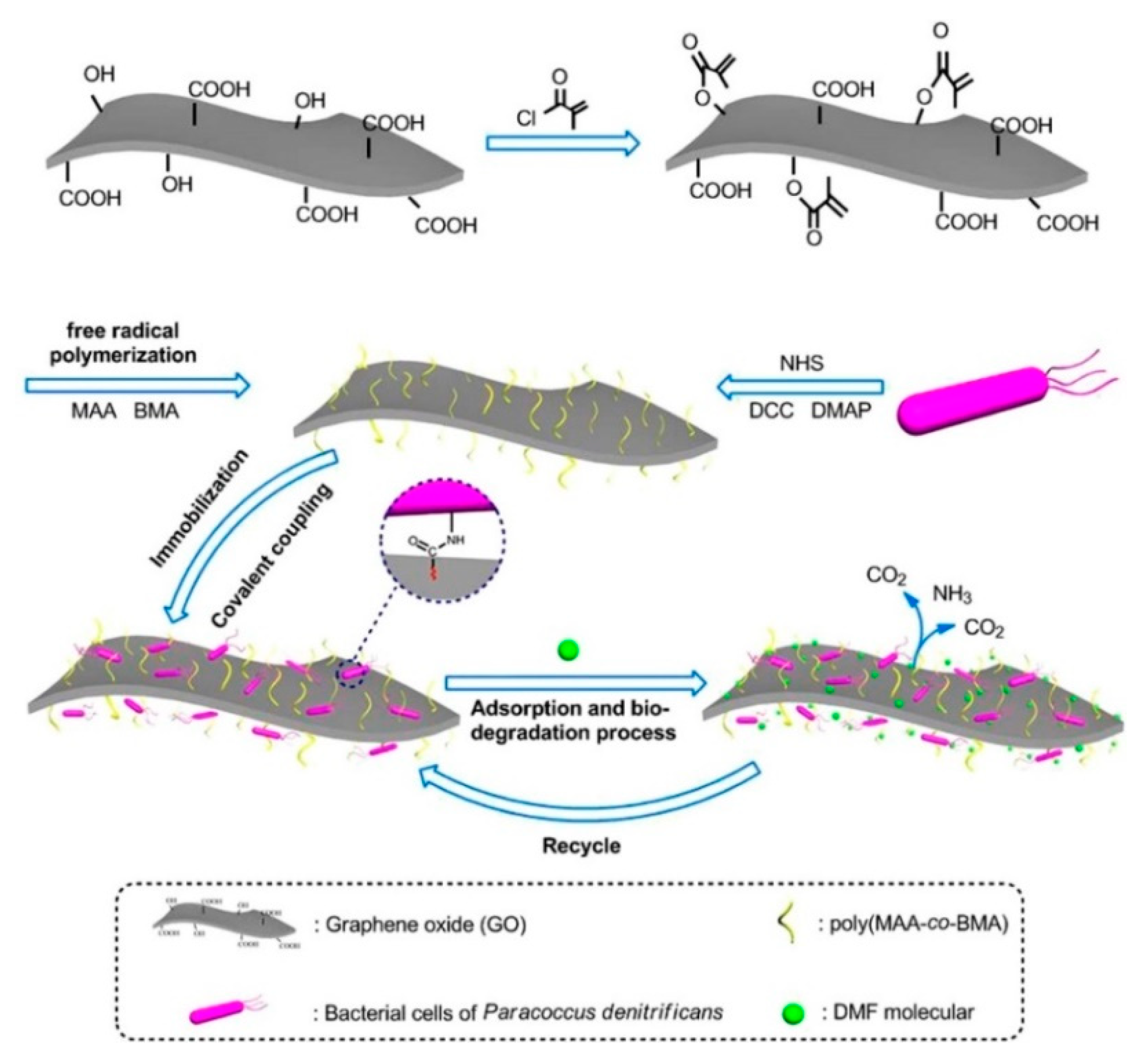 Nanomaterials 09 01123 g003
