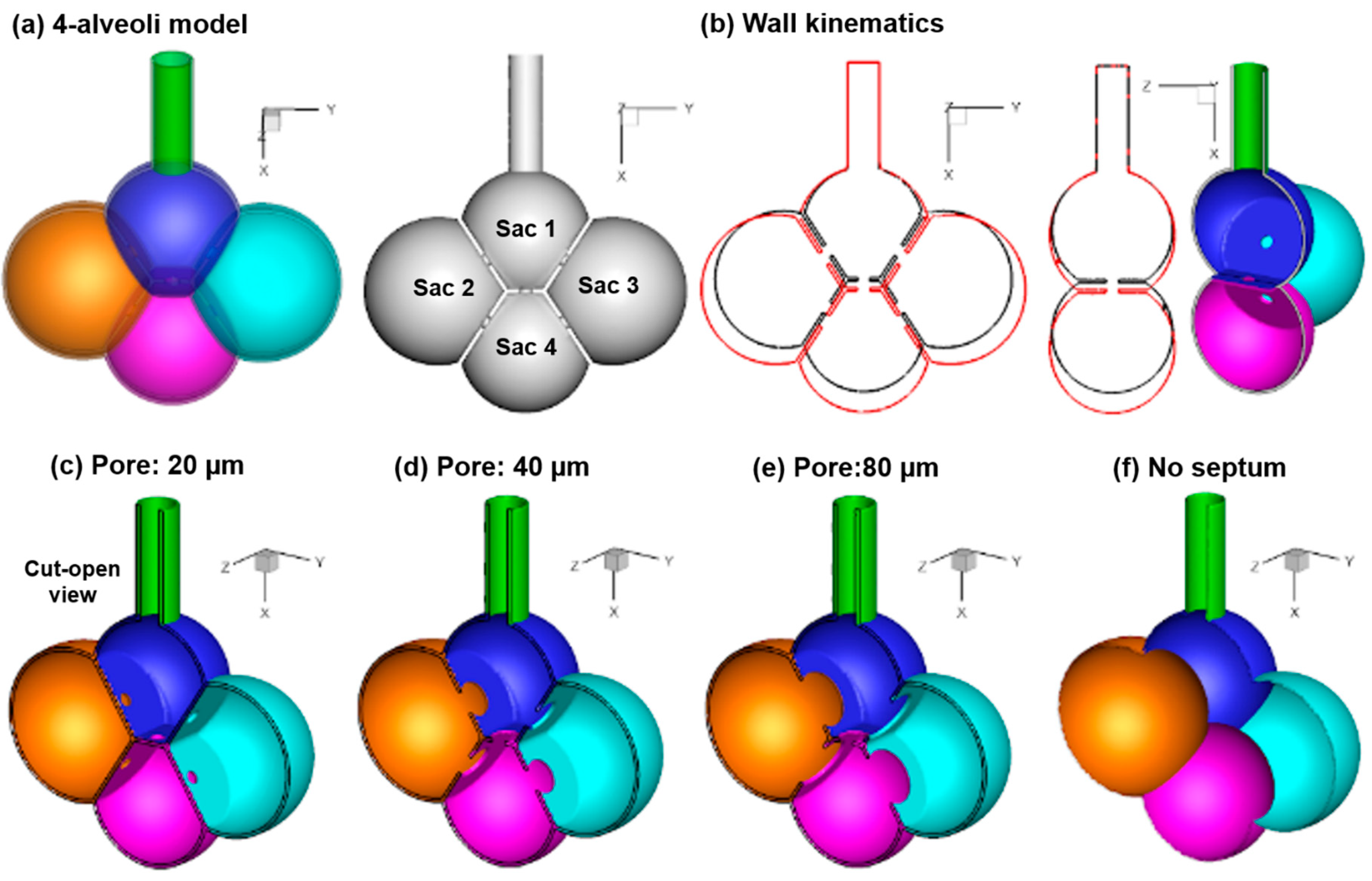 Nanomaterials 09 01126 g001