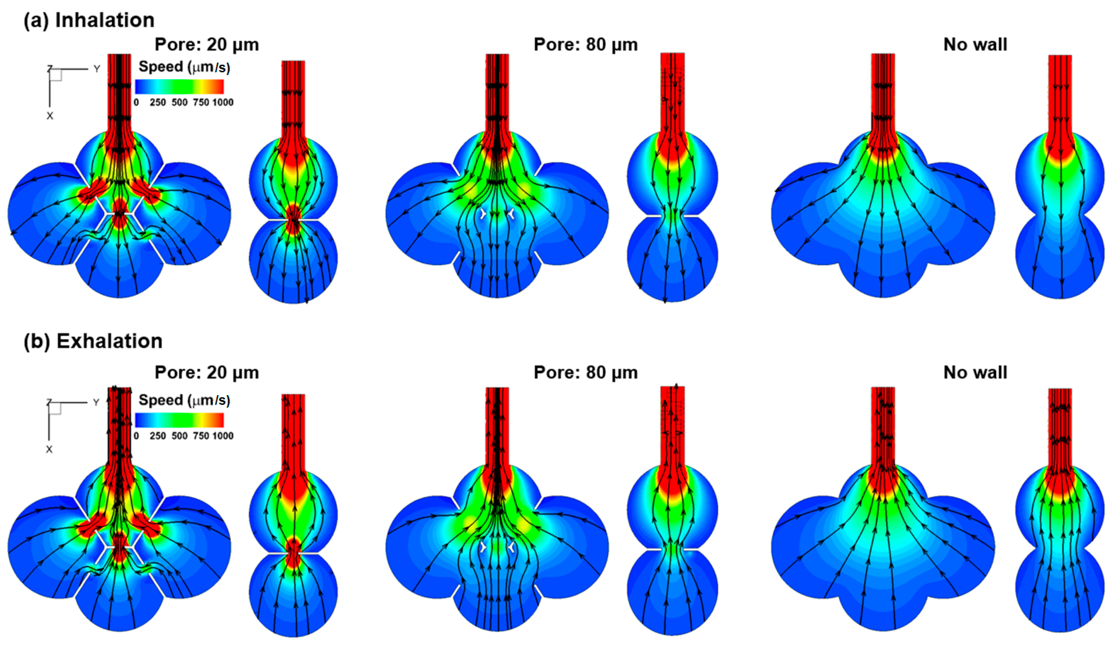 Nanomaterials 09 01126 g003