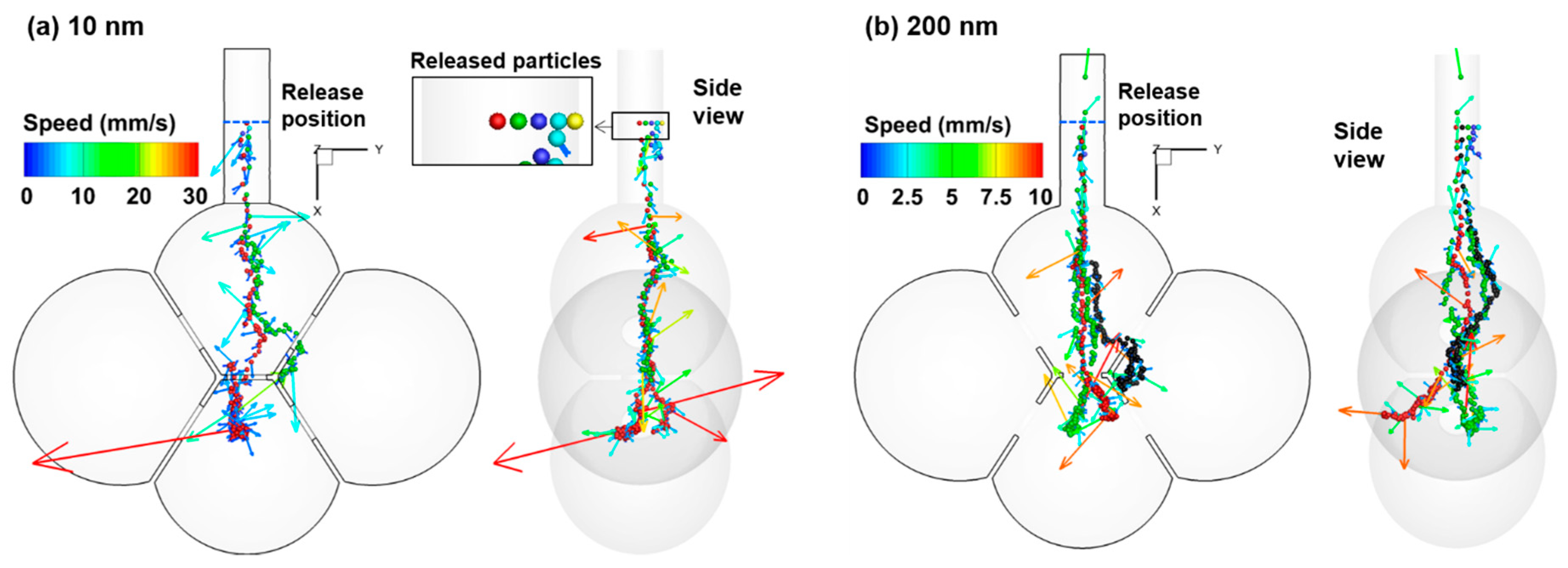 Nanomaterials 09 01126 g004