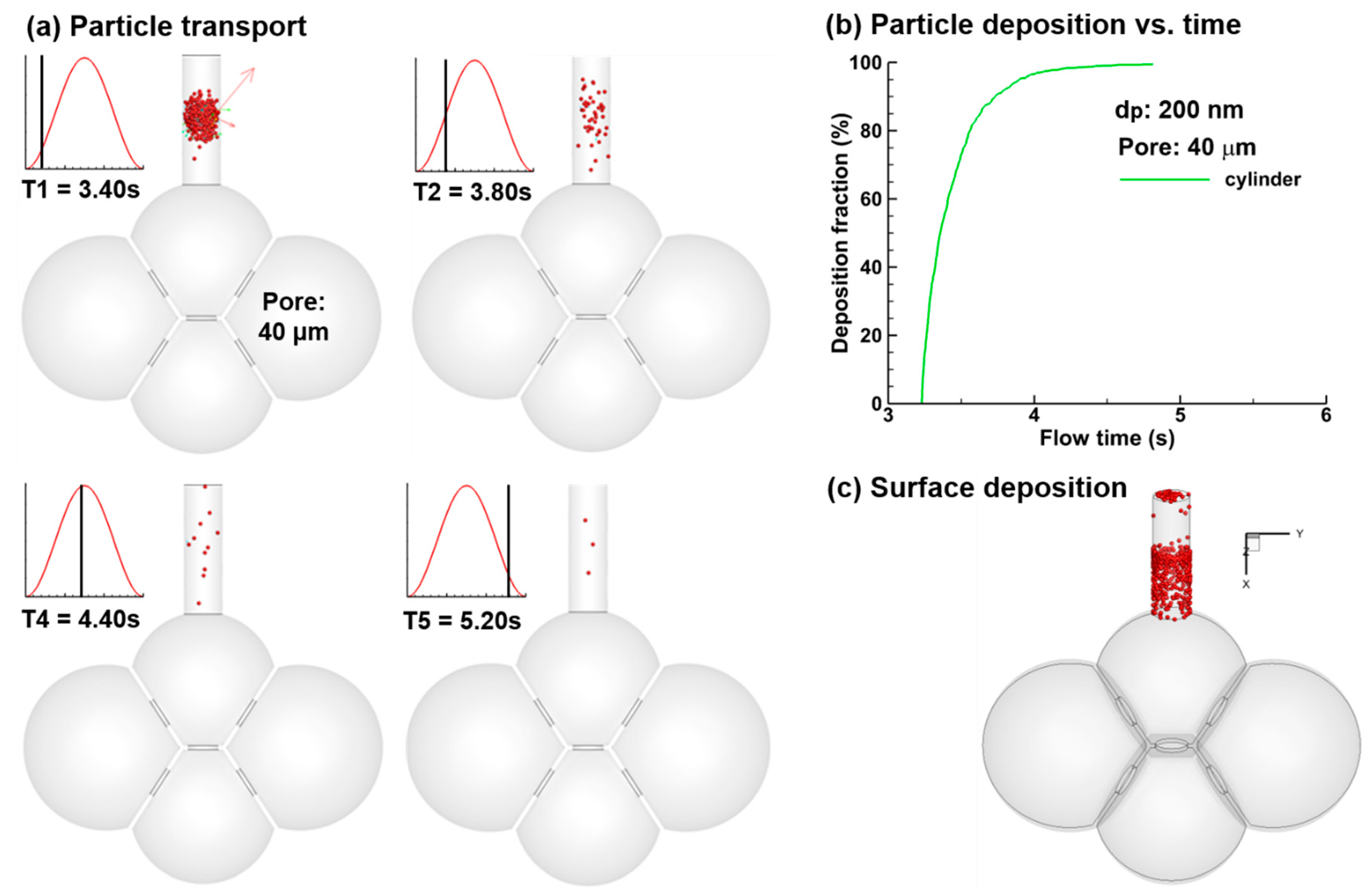 Nanomaterials 09 01126 g006