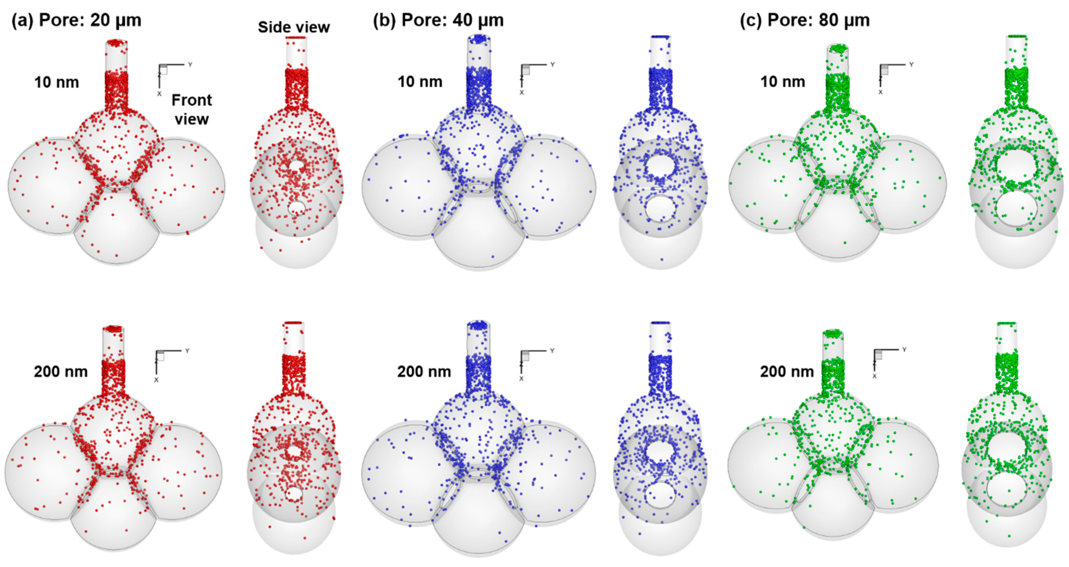 Nanomaterials 09 01126 g008