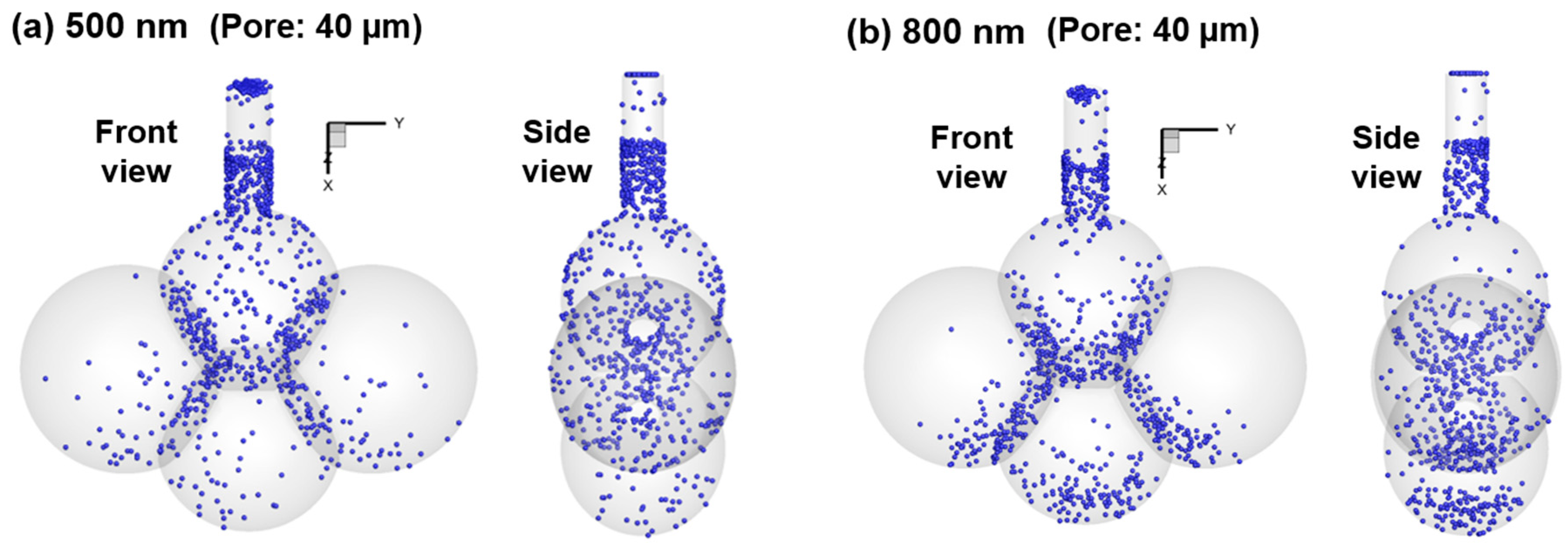 Nanomaterials 09 01126 g010