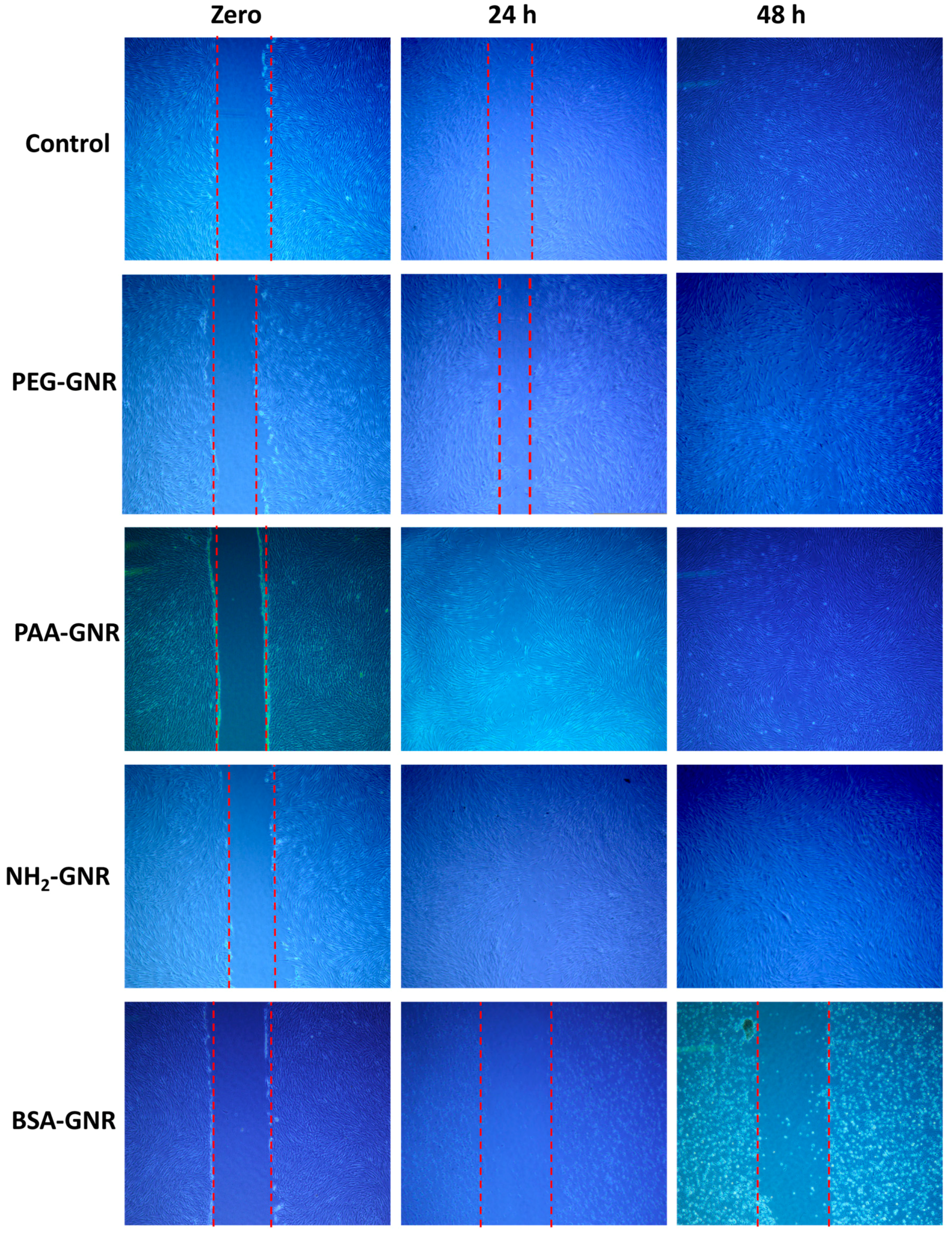 Nanomaterials 09 01131 g005