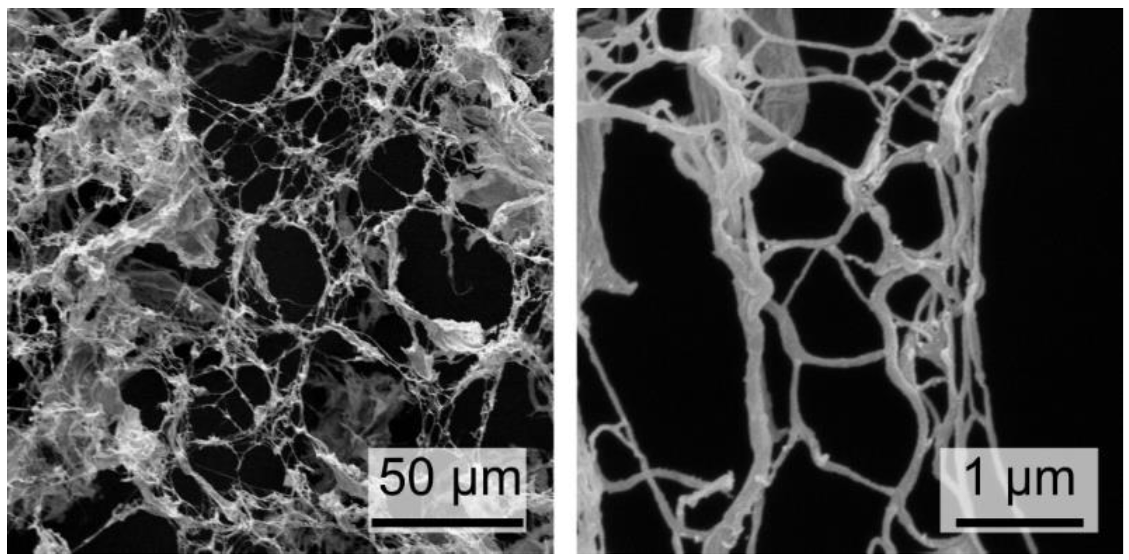 Nanomaterials 09 01142 g001